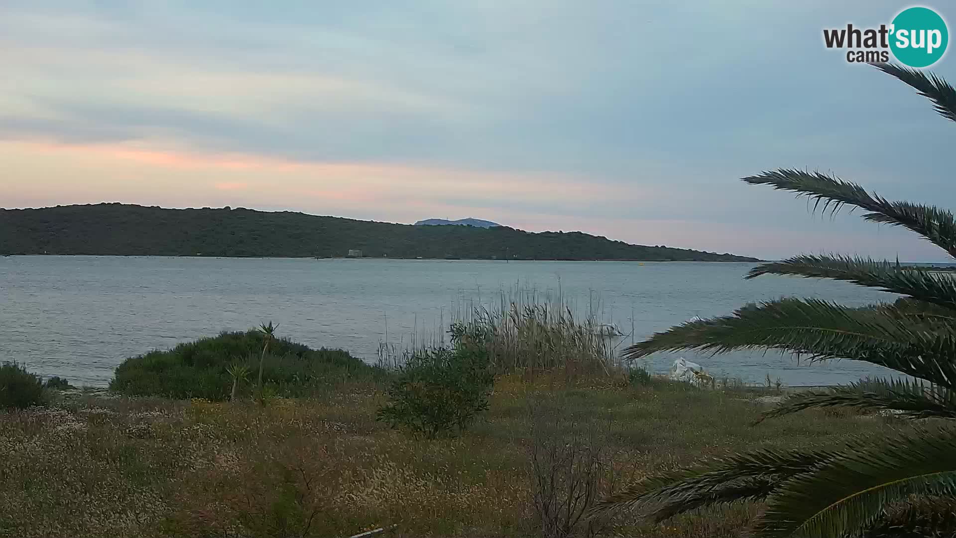 Camera web puerto de Olbia – entrada al puerto de Olbia
