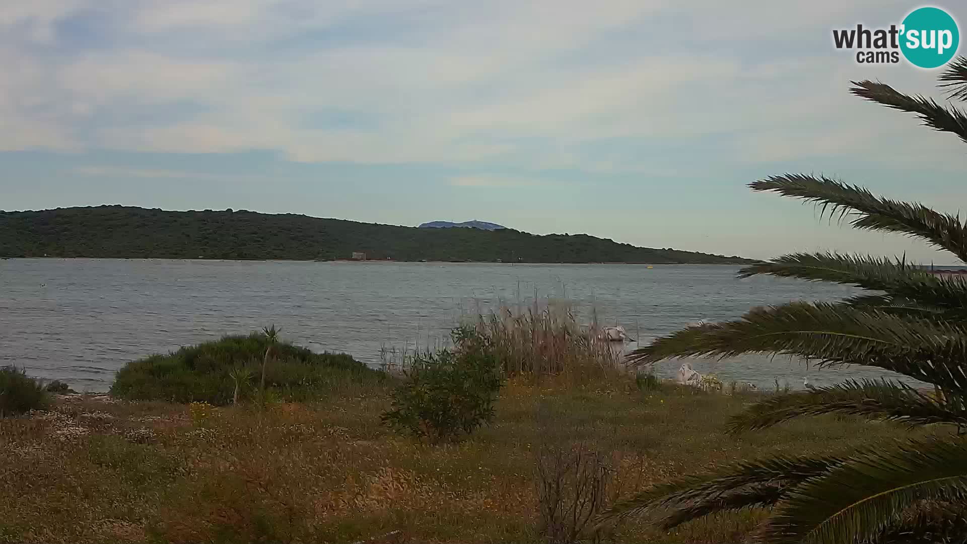 Webcam port d’Olbia – entrée du port d’Olbia