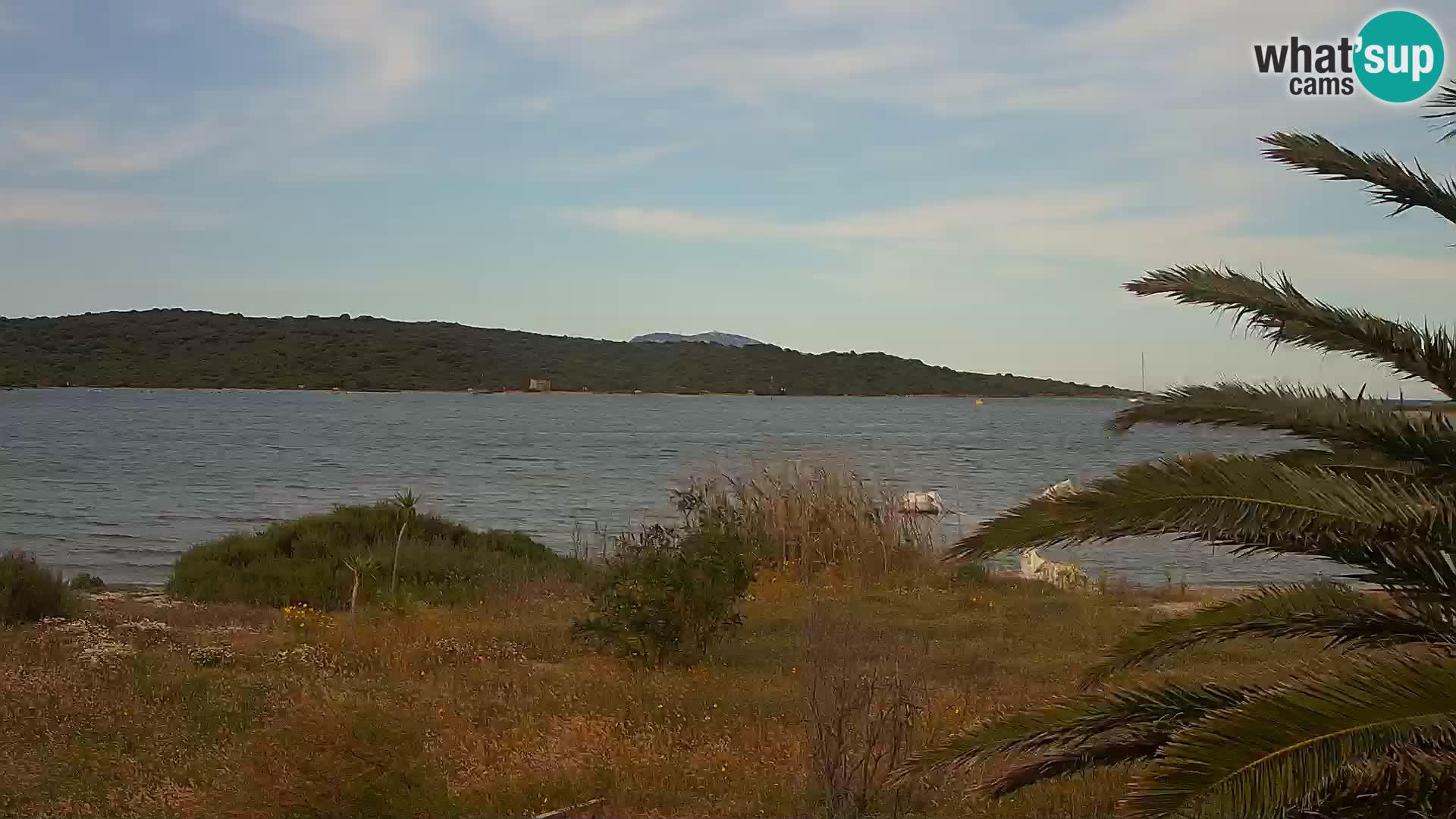 Webcam Olbia port – entrance to the port of Olbia