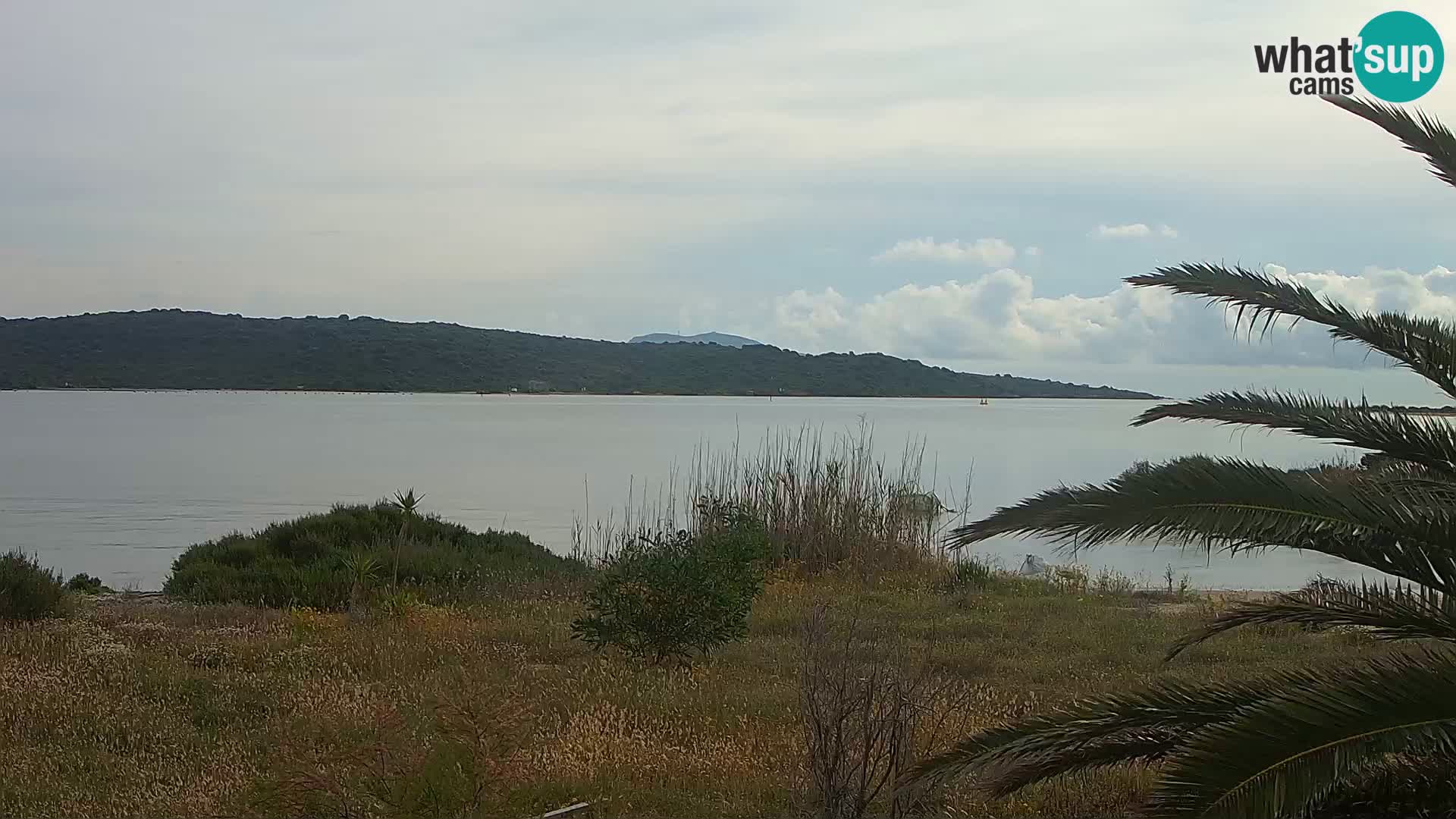 Camera web puerto de Olbia – entrada al puerto de Olbia
