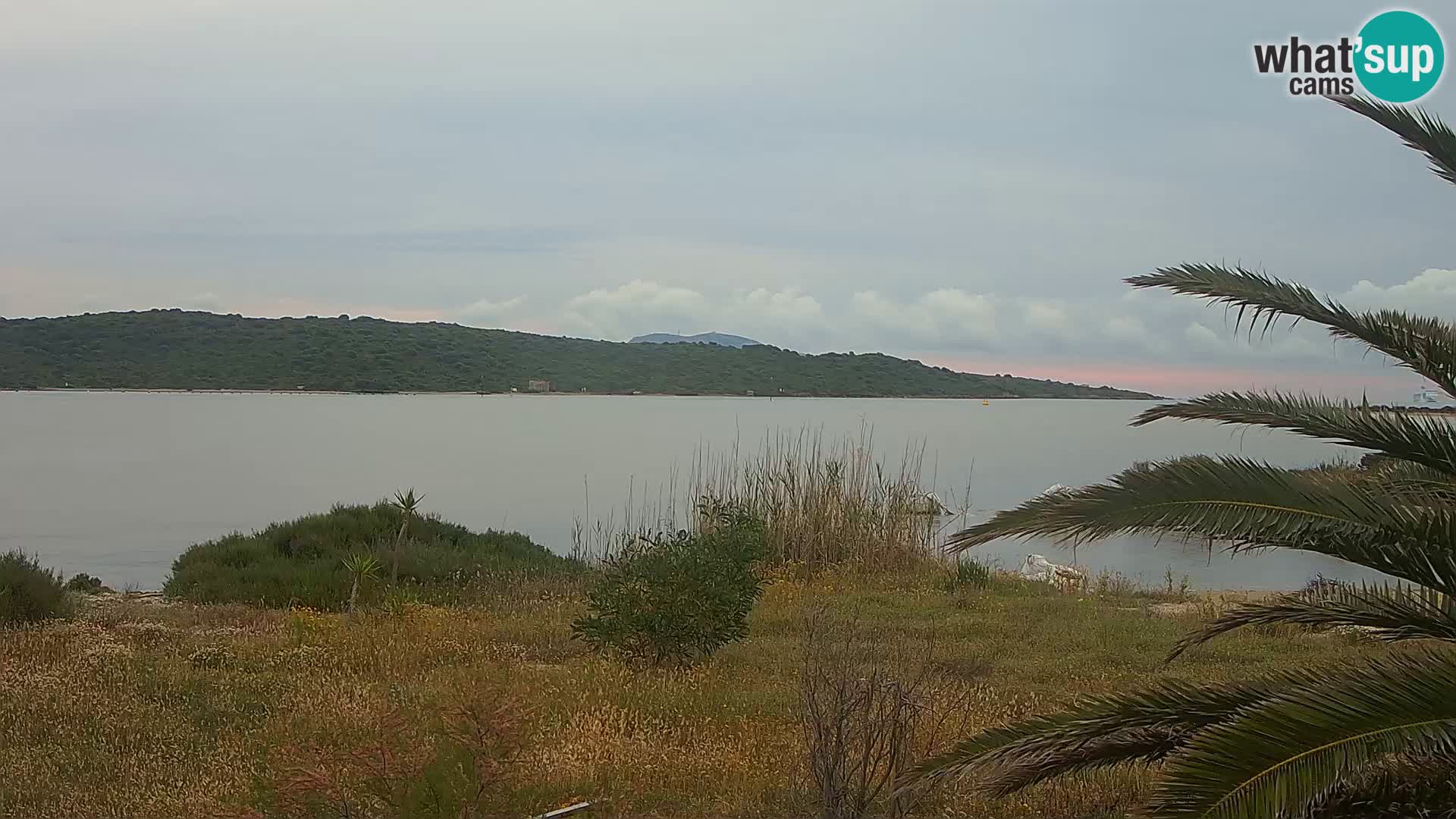 Camera web puerto de Olbia – entrada al puerto de Olbia