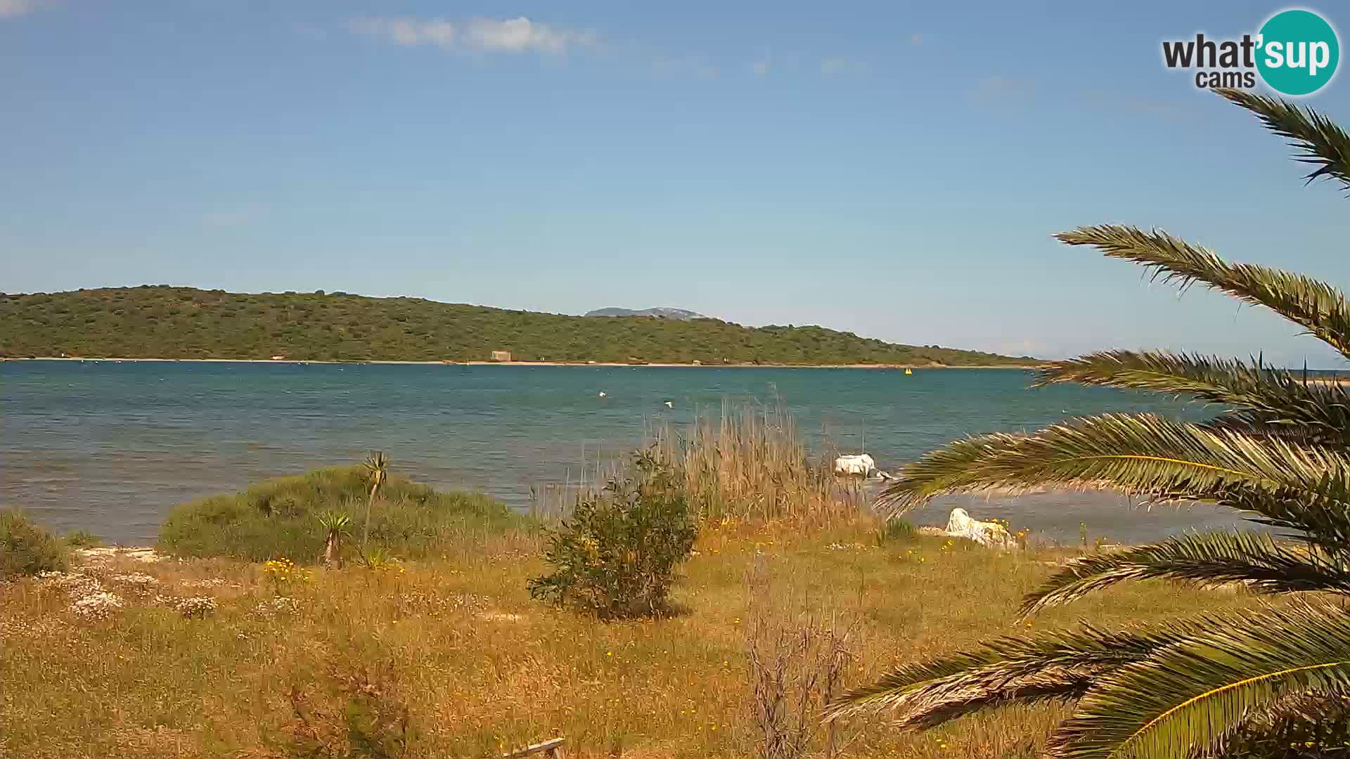 Webcam porto di Olbia – entrata nel porto di Olbia