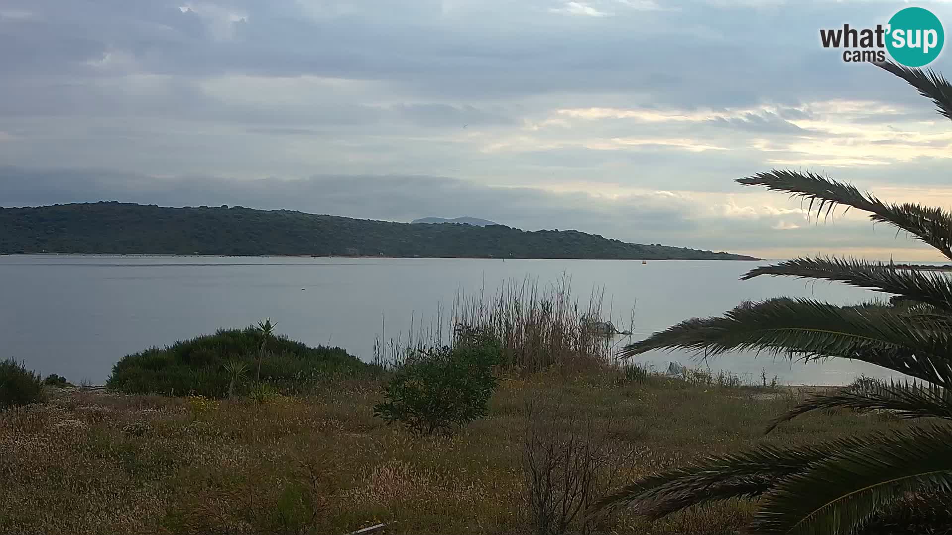 Webcam Olbia port – entrance to the port of Olbia