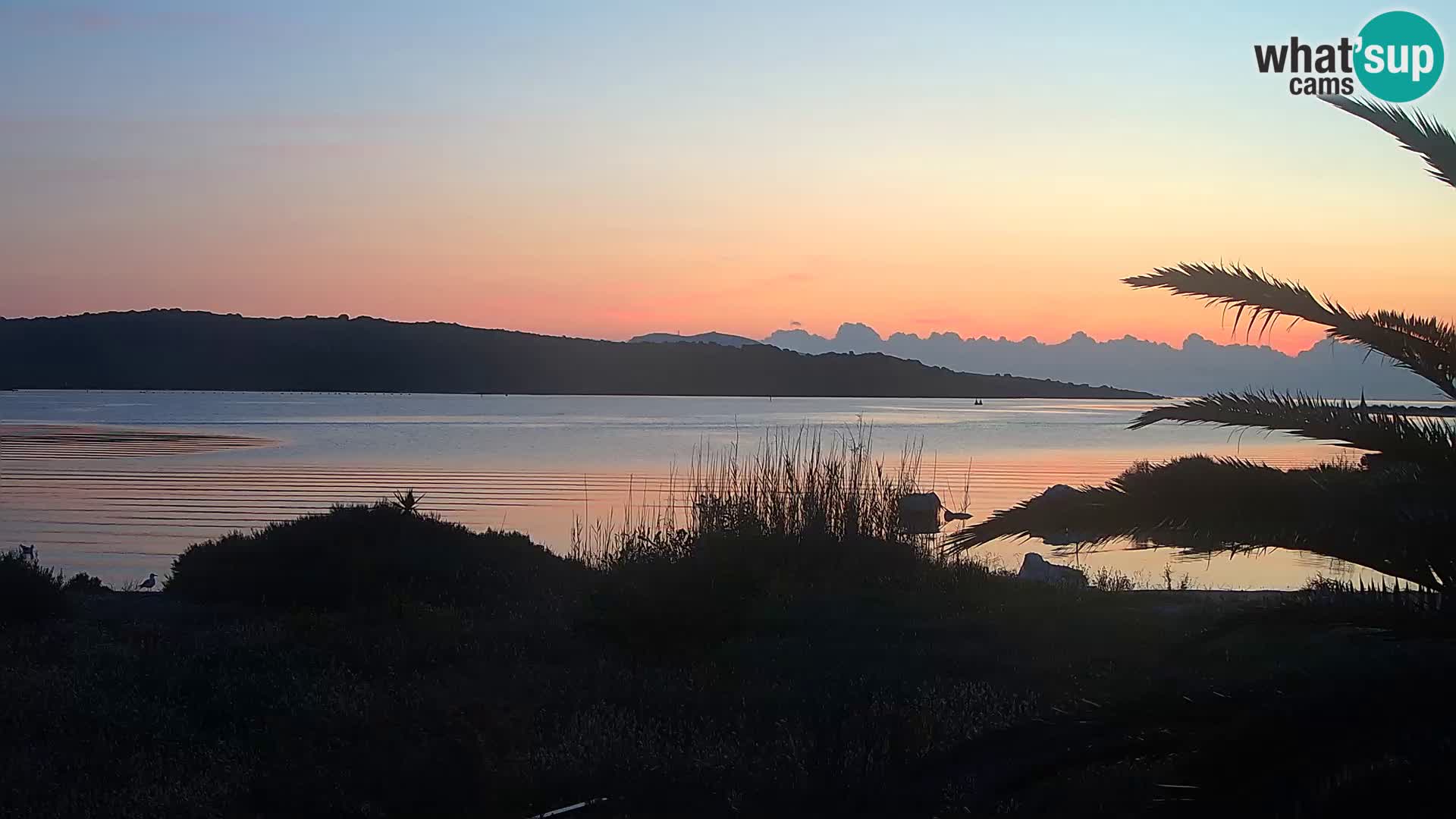 Webcam Hafen Olbia – Eingang zum Hafen von Olbia