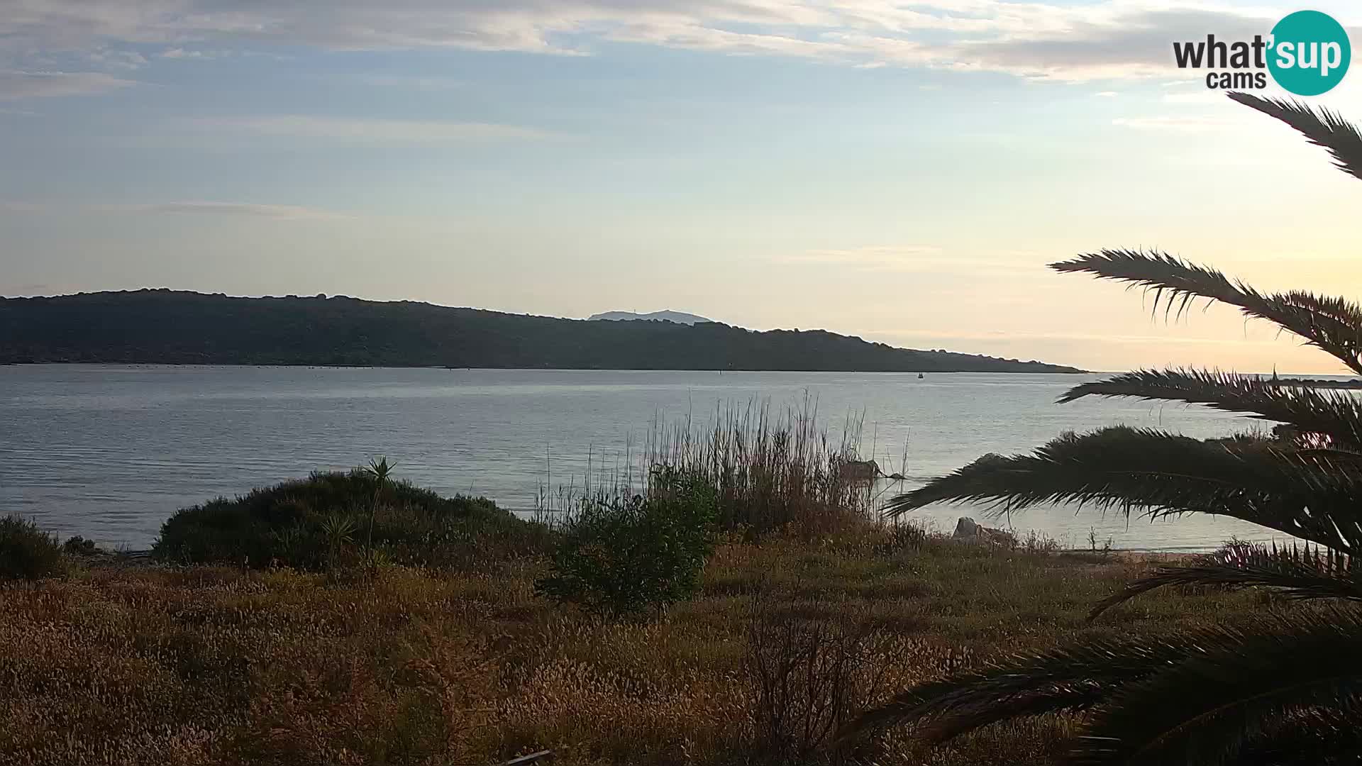 Webcam Olbia port – entrance to the port of Olbia