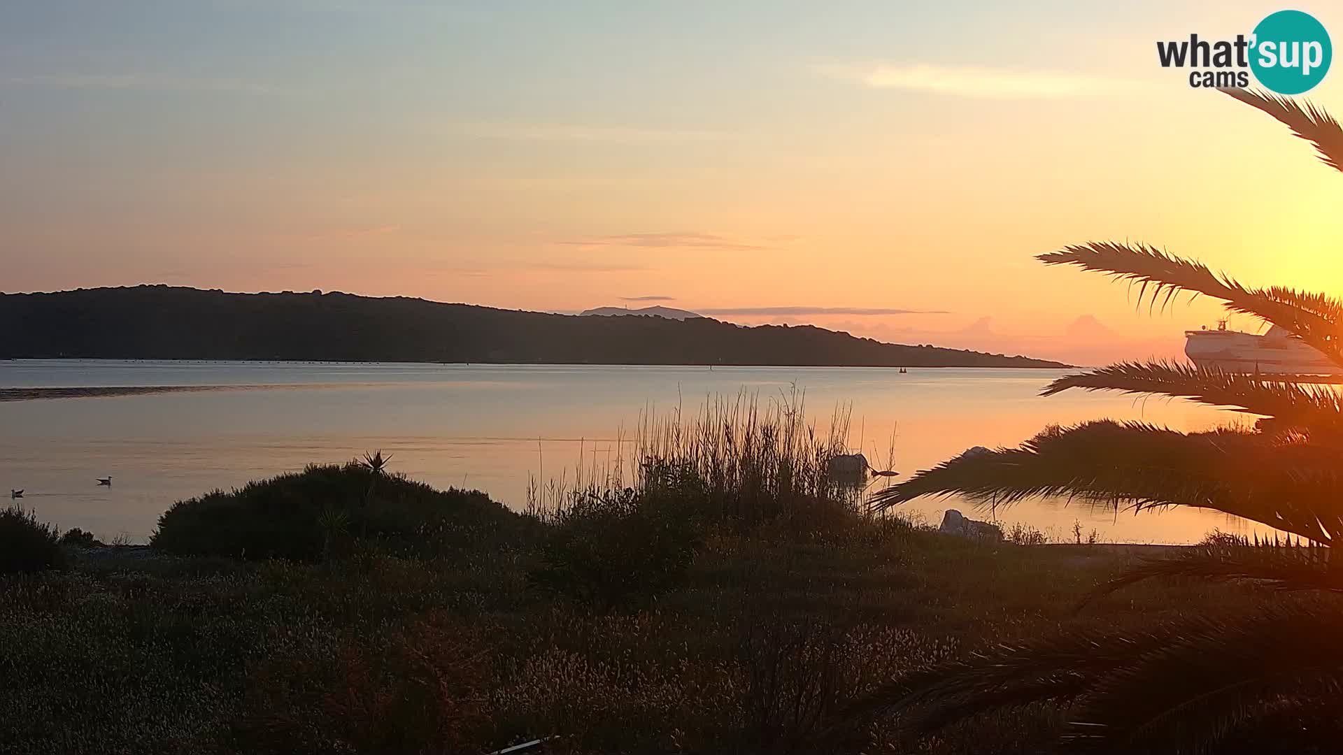 Webcam Olbia port – entrance to the port of Olbia