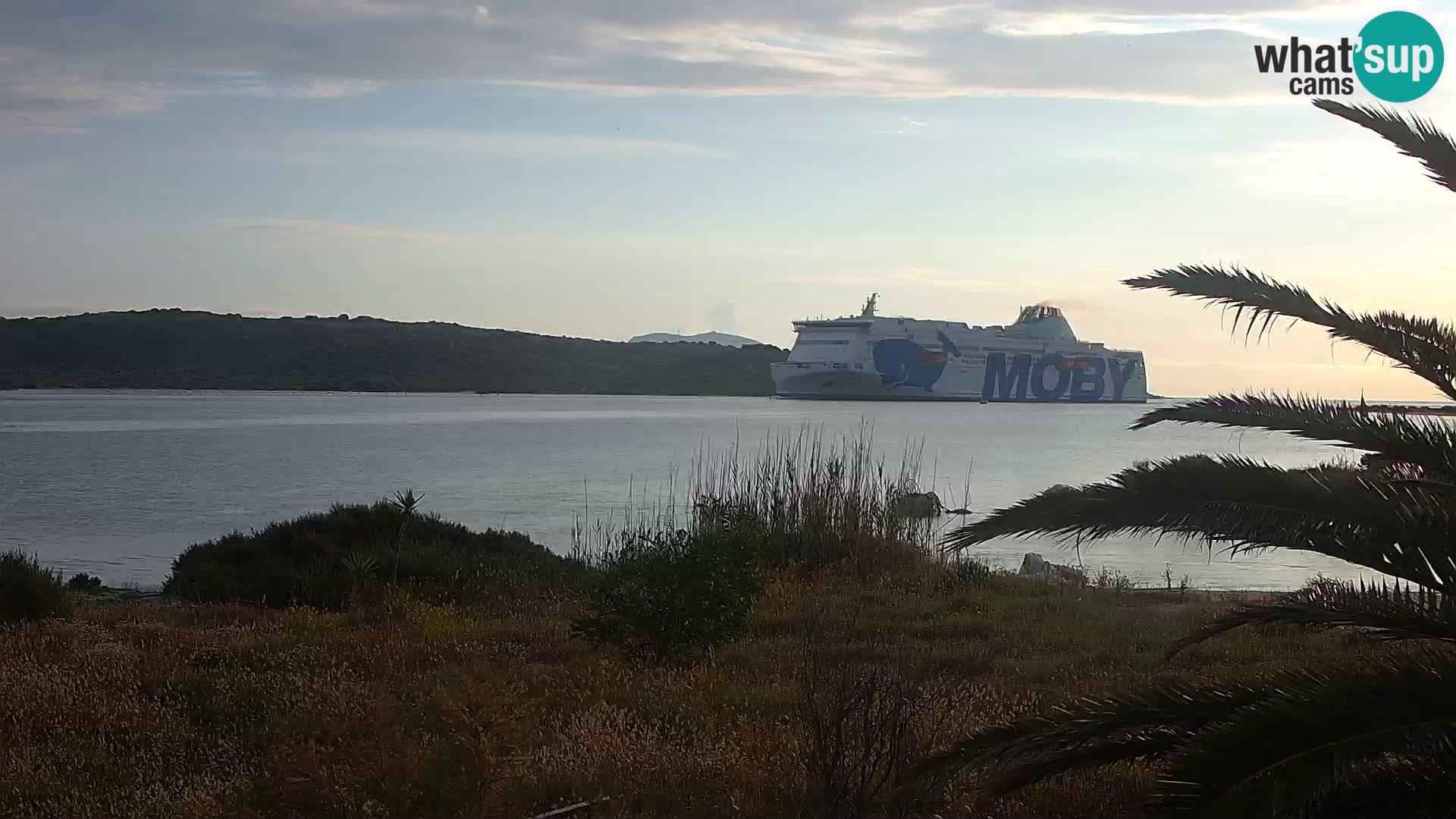 Webcam Hafen Olbia – Eingang zum Hafen von Olbia