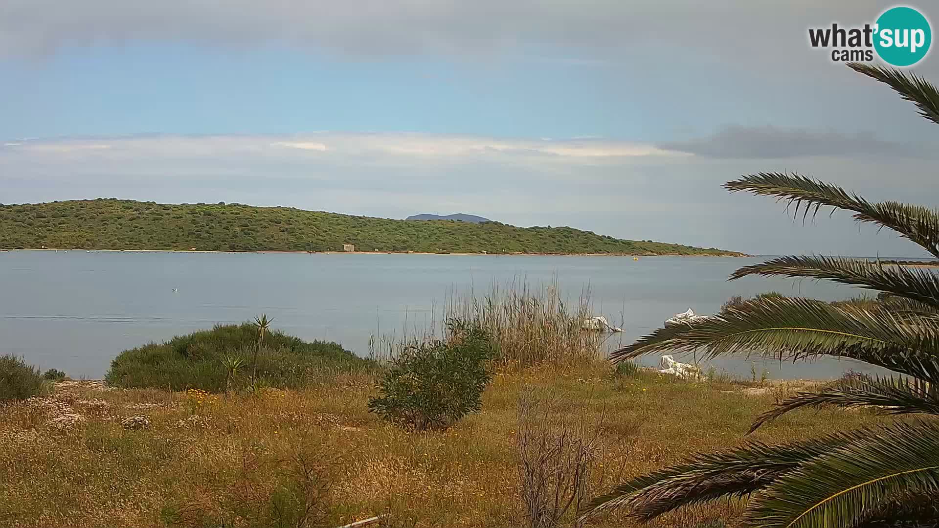 Webcam Hafen Olbia – Eingang zum Hafen von Olbia