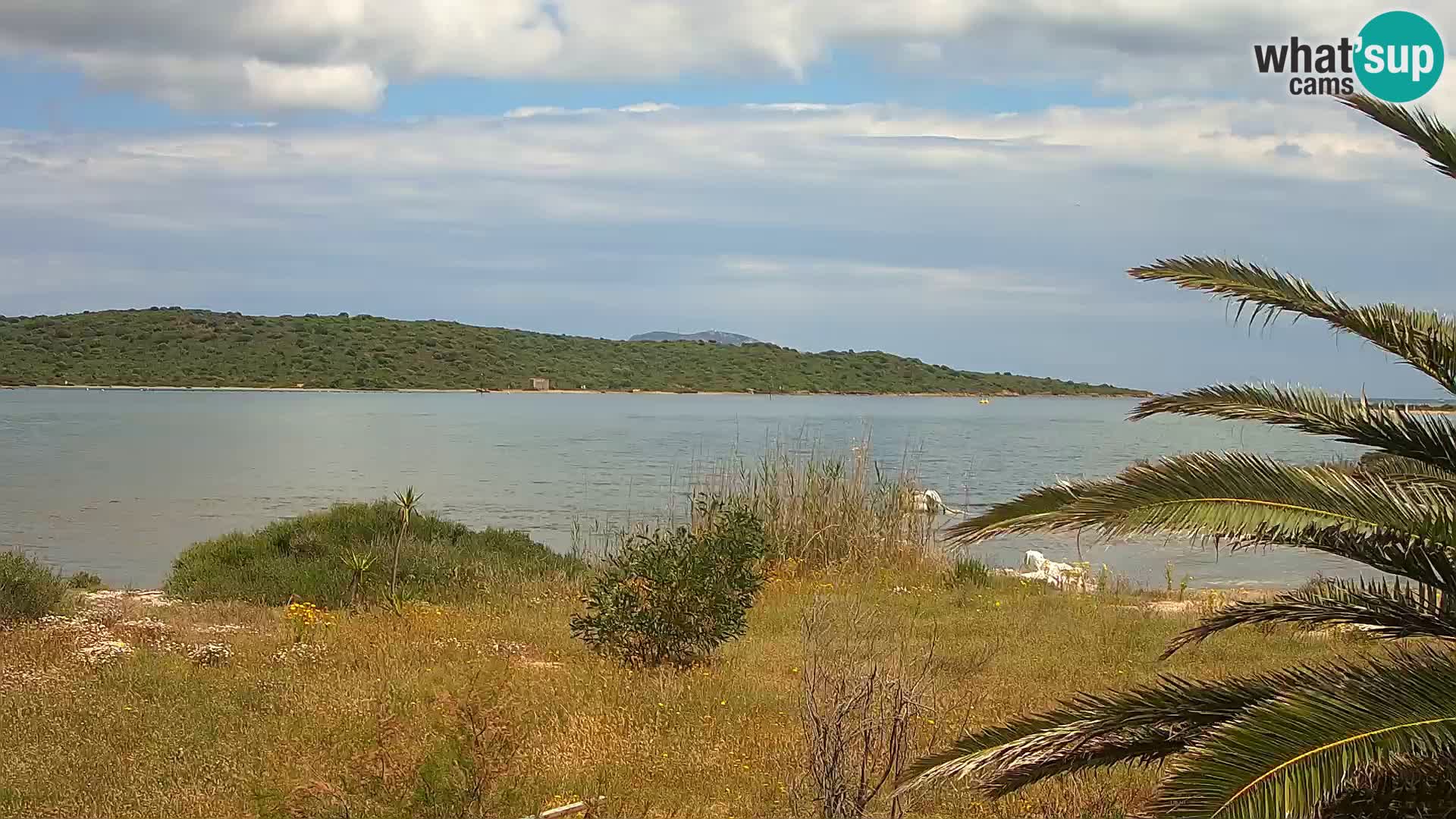 Webcam Olbia port – entrance to the port of Olbia