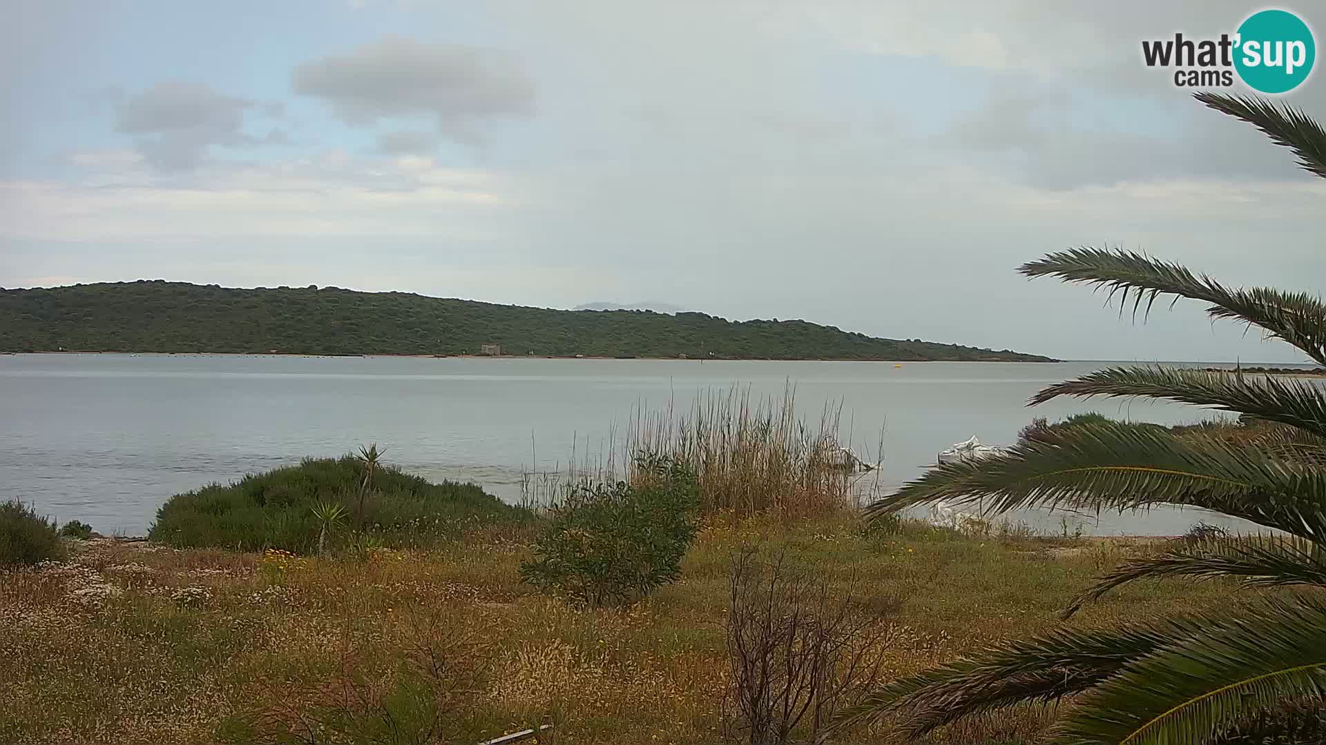 Webcam porto di Olbia – entrata nel porto di Olbia
