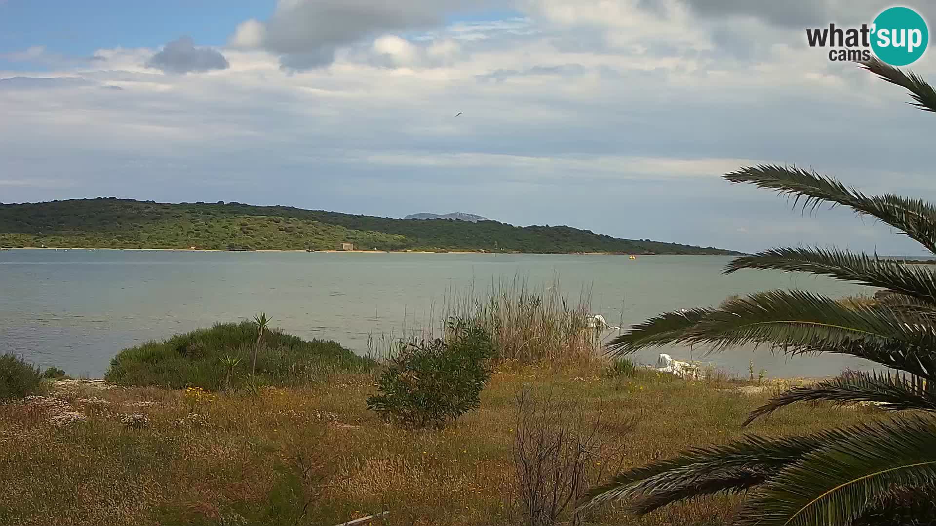 Webcam Olbia port – entrance to the port of Olbia