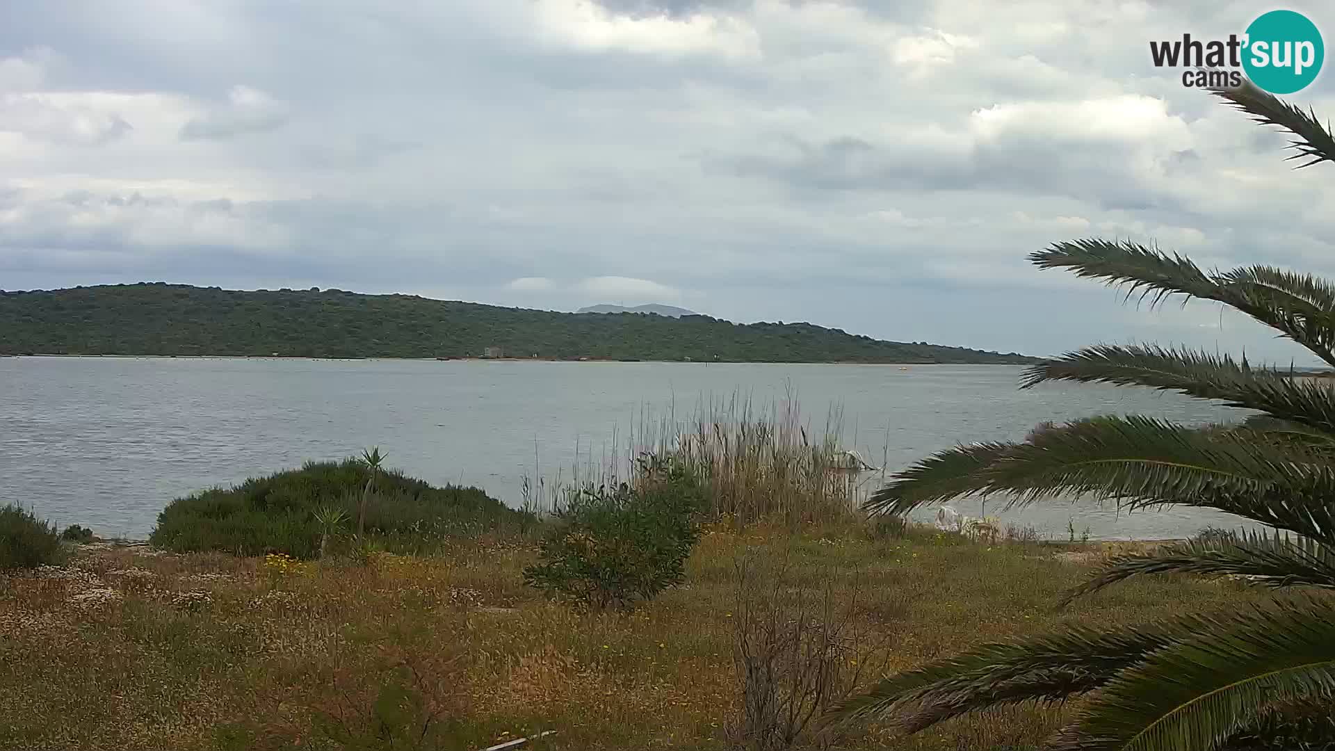 Webcam port d’Olbia – entrée du port d’Olbia