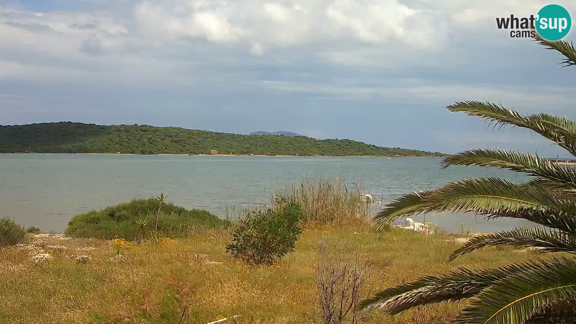 Webcam port d’Olbia – entrée du port d’Olbia
