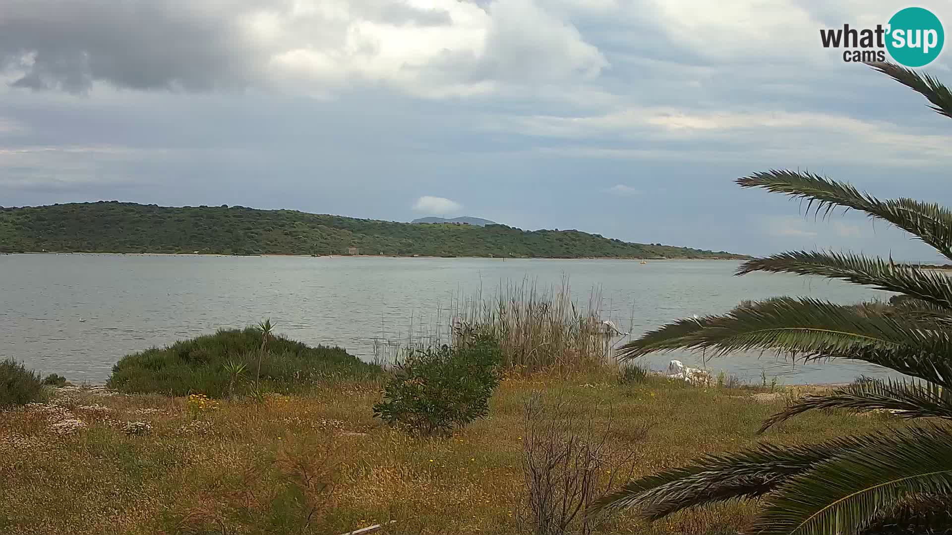 Webcam Hafen Olbia – Eingang zum Hafen von Olbia