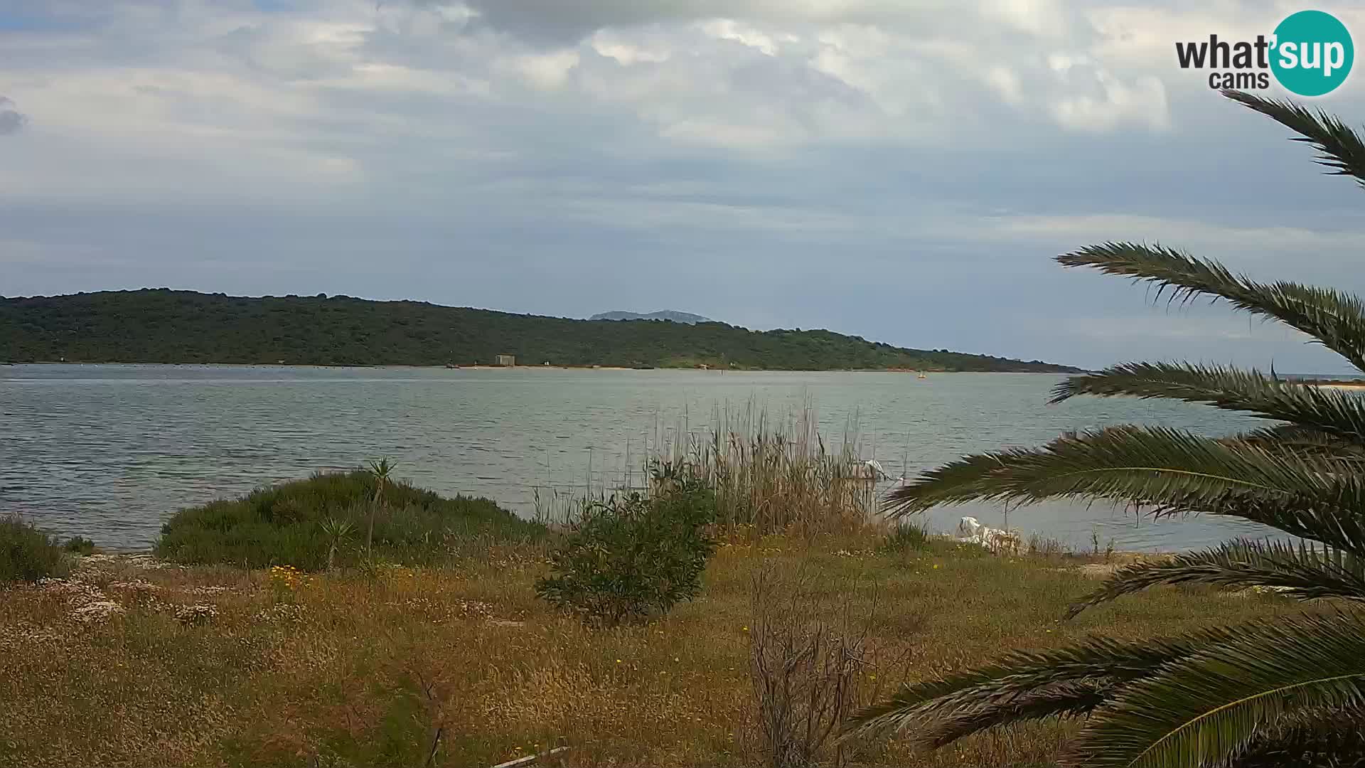 Webcam porto di Olbia – entrata nel porto di Olbia