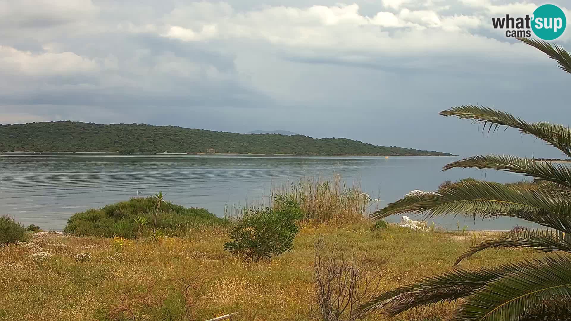 Web kamera Olbia luka – ulaz u luku Olbia