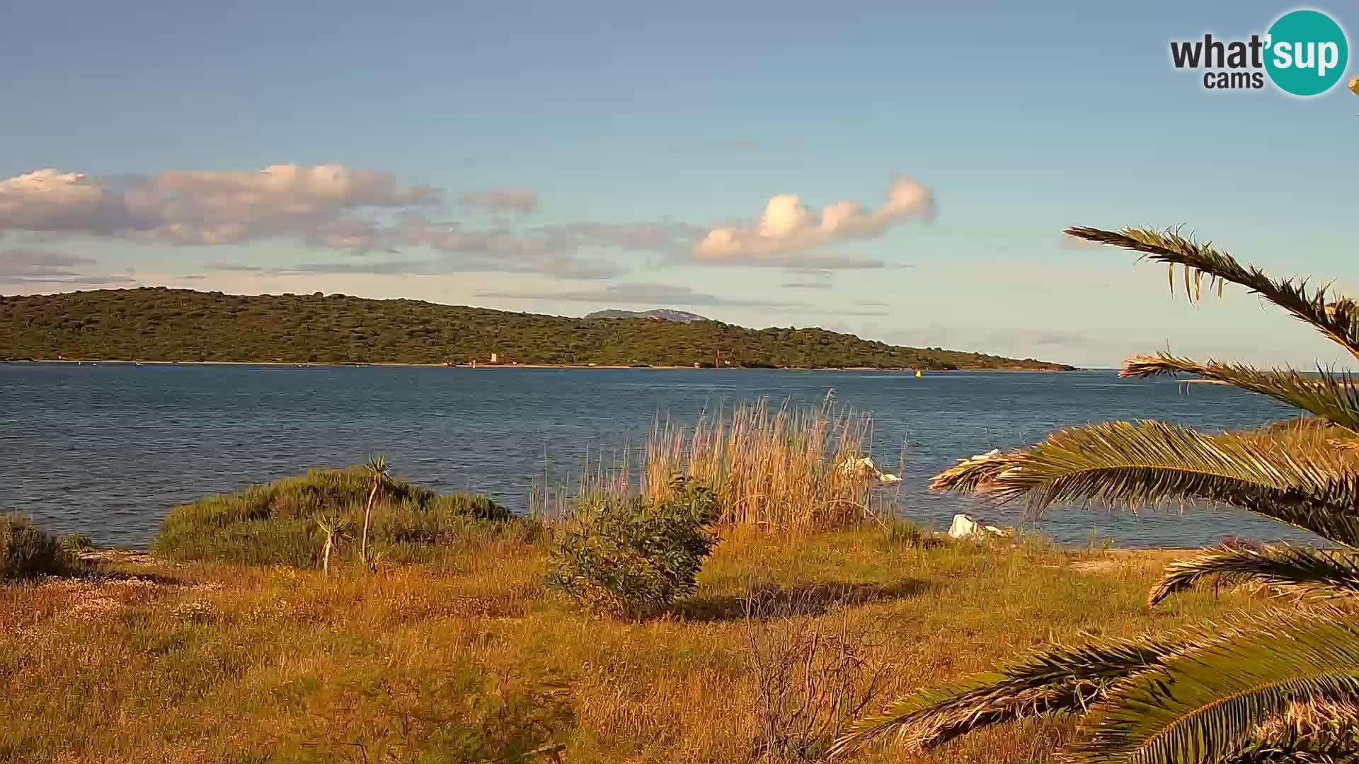 Webcam porto di Olbia – entrata nel porto di Olbia