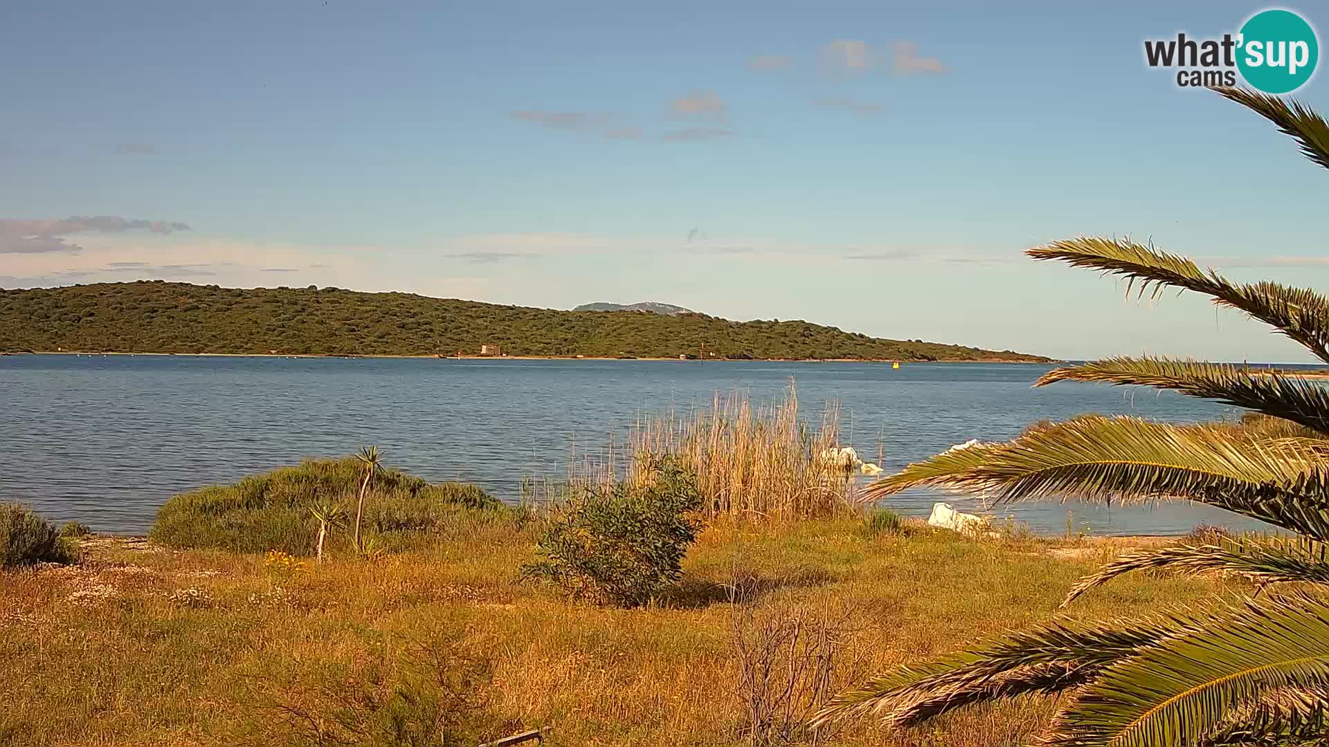 Webcam Olbia port – entrance to the port of Olbia