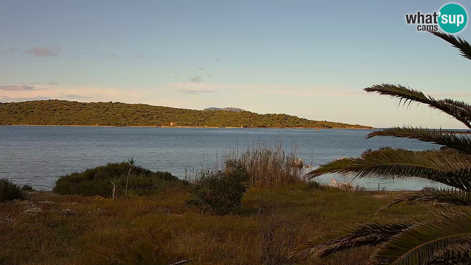 Webcam porto di Olbia – entrata nel porto di Olbia