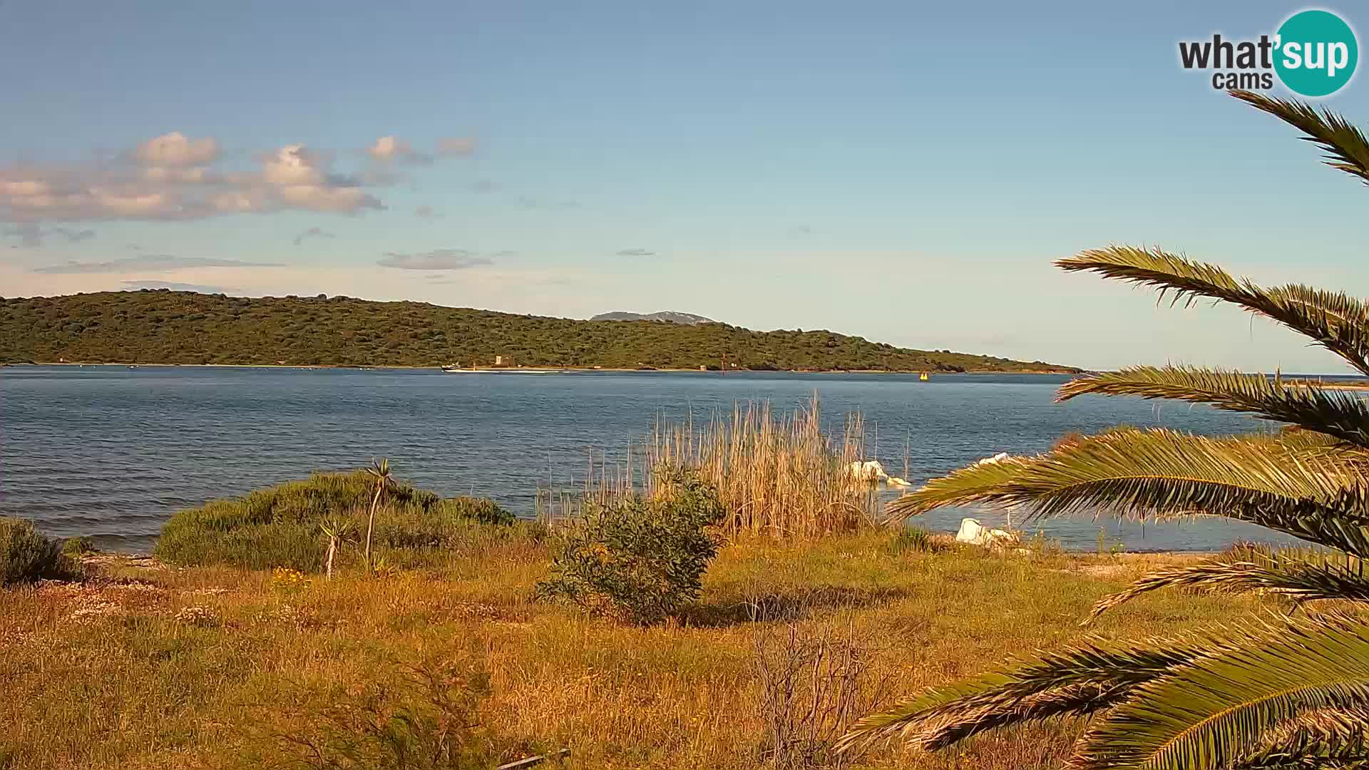 Webcam porto di Olbia – entrata nel porto di Olbia