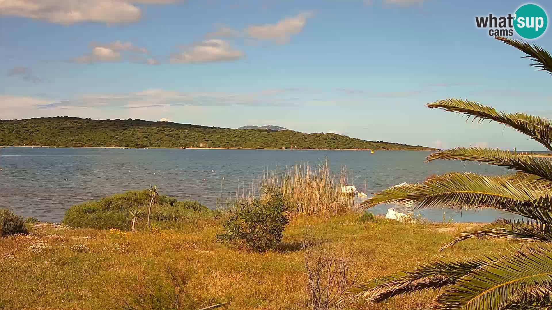 Webcam Olbia port – entrance to the port of Olbia