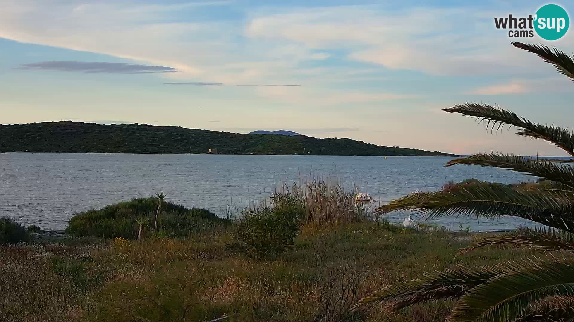 Webcam Hafen Olbia – Eingang zum Hafen von Olbia