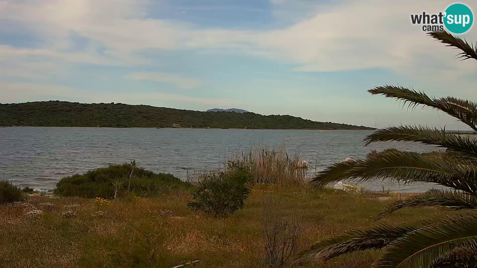 Webcam porto di Olbia – entrata nel porto di Olbia
