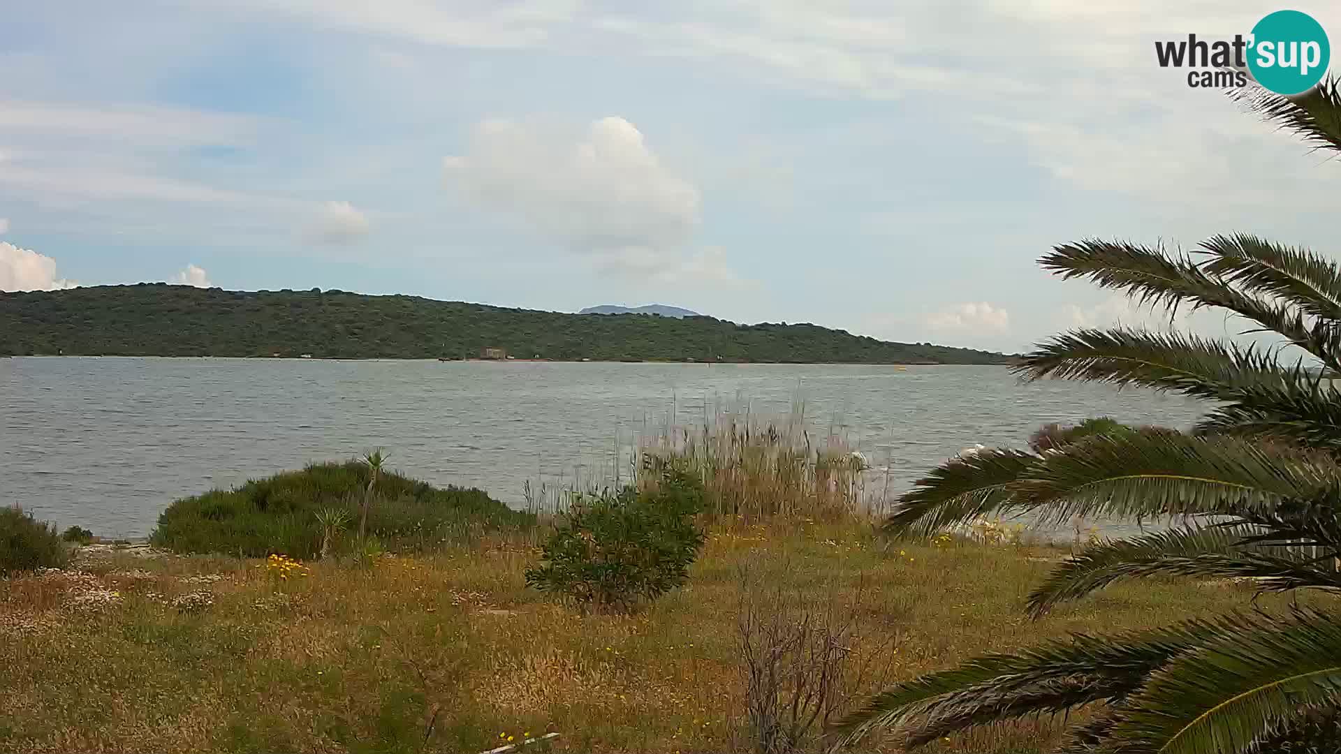 Camera web puerto de Olbia – entrada al puerto de Olbia