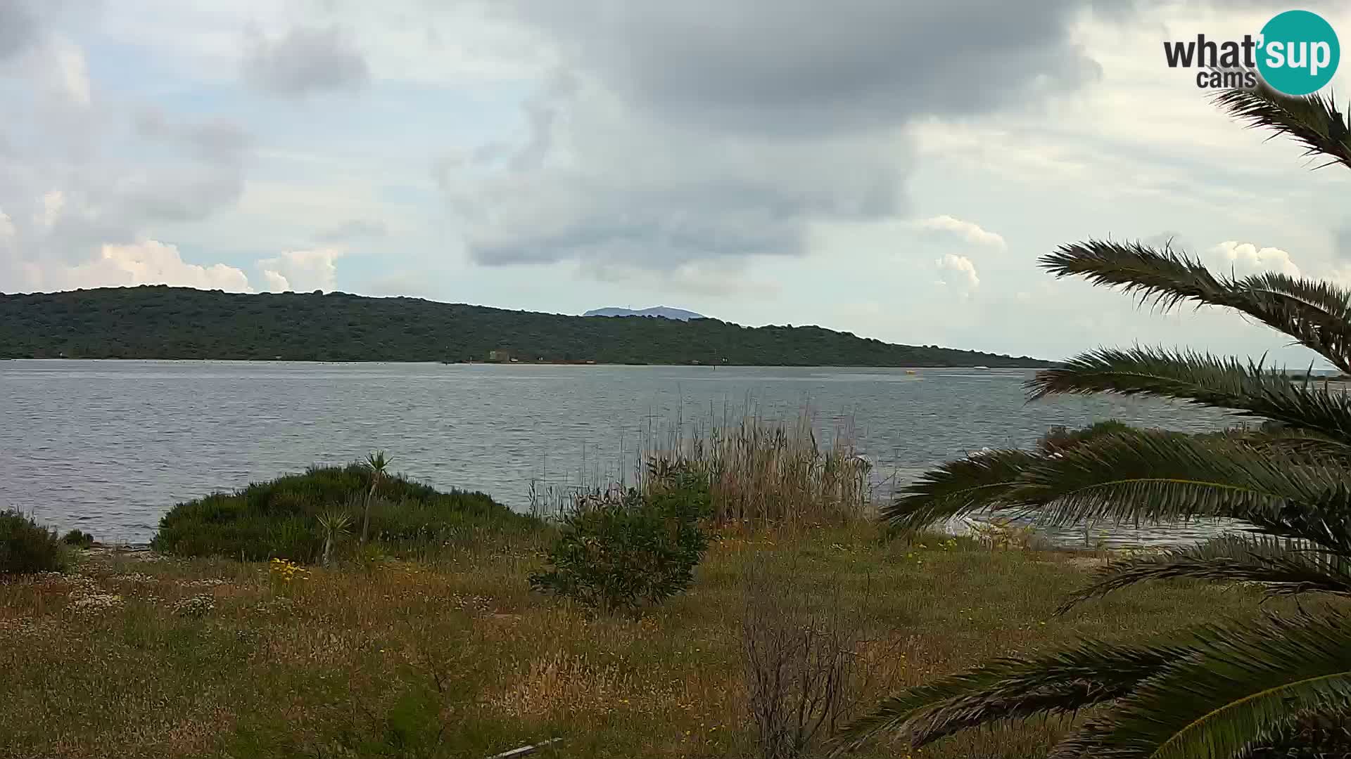 Webcam port d’Olbia – entrée du port d’Olbia