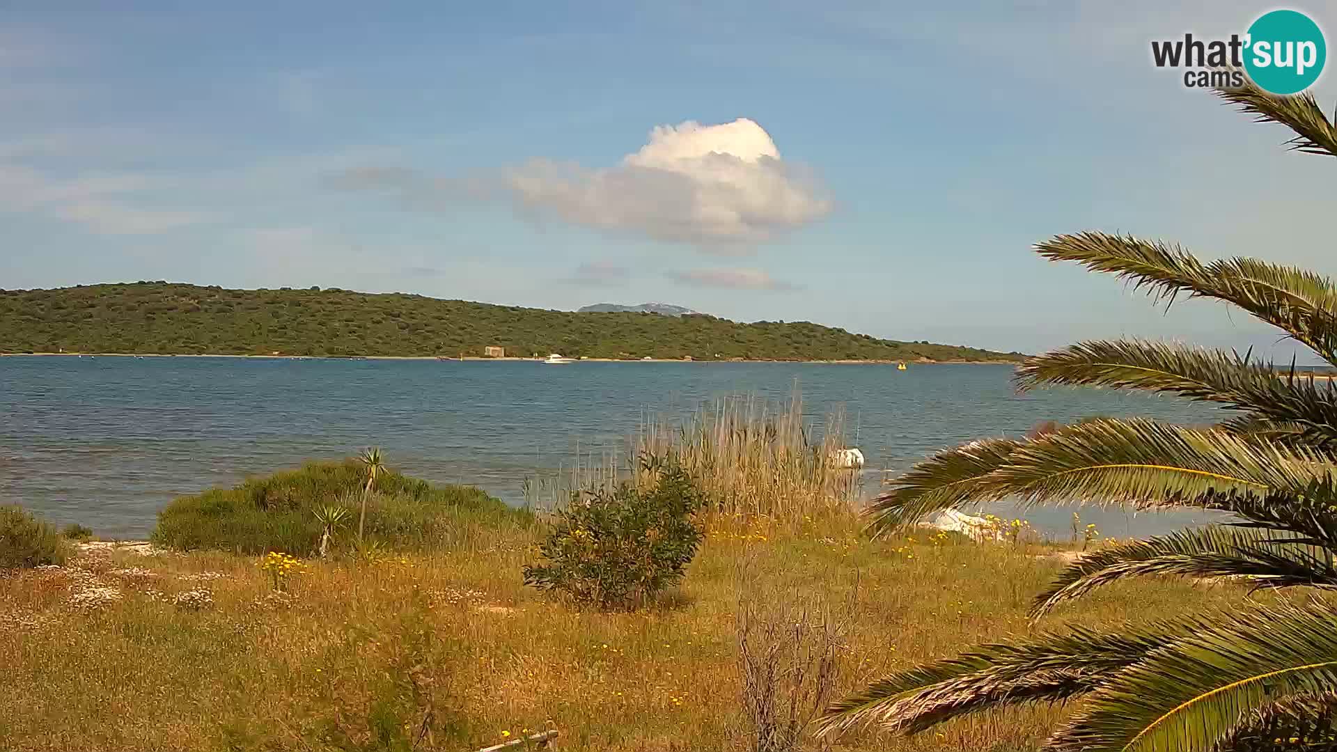 Webcam porto di Olbia – entrata nel porto di Olbia