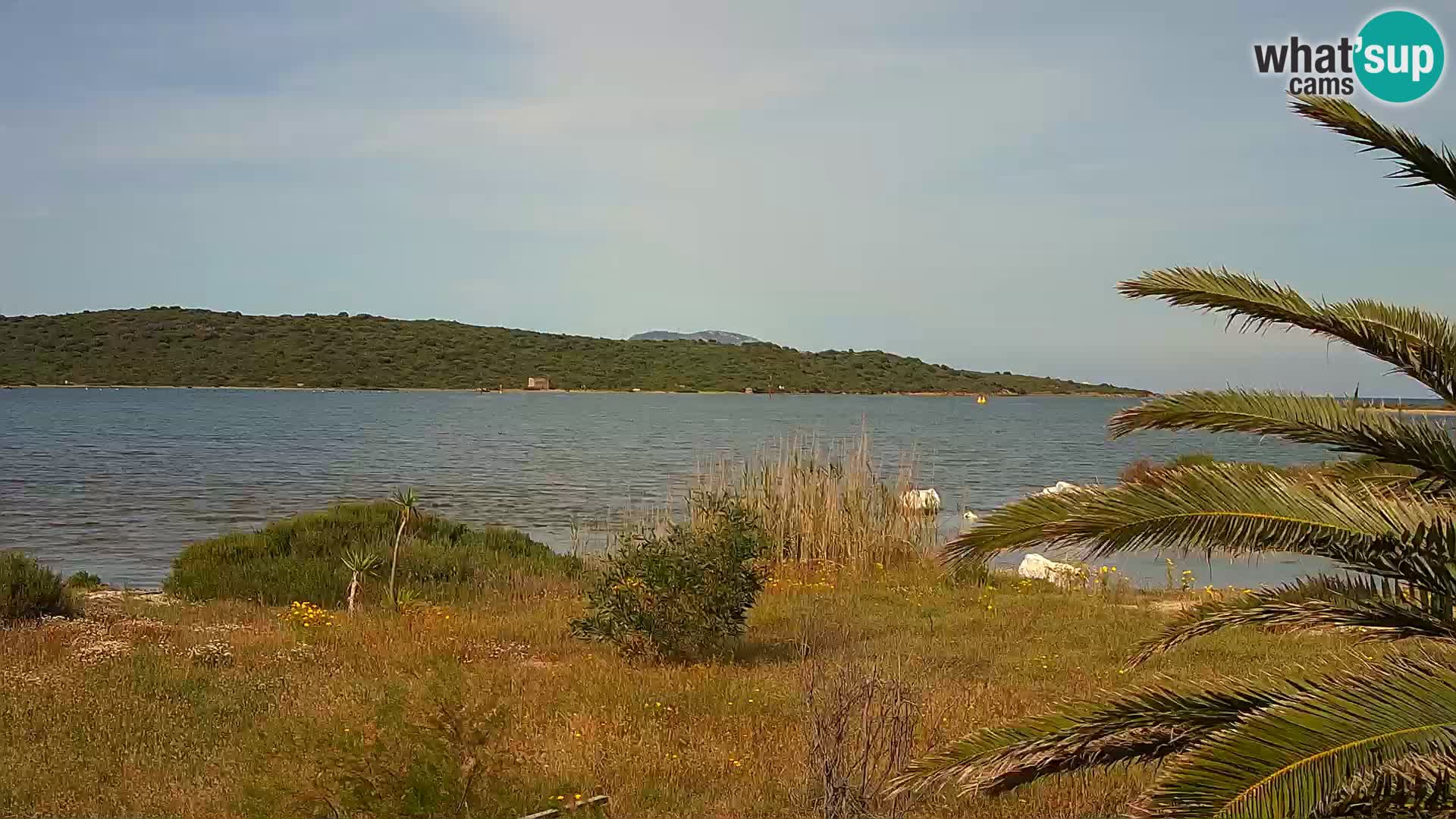 Webcam Olbia port – entrance to the port of Olbia