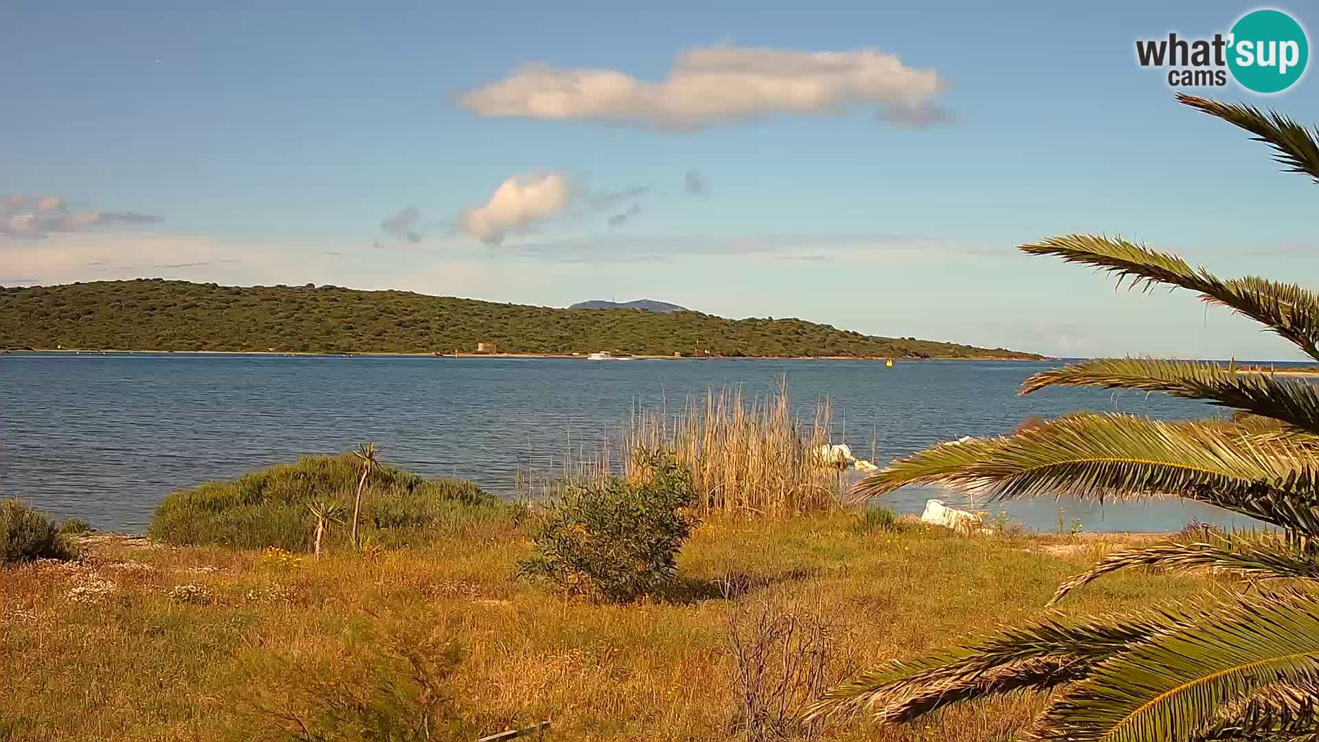 Web kamera Olbia luka – ulaz u luku Olbia