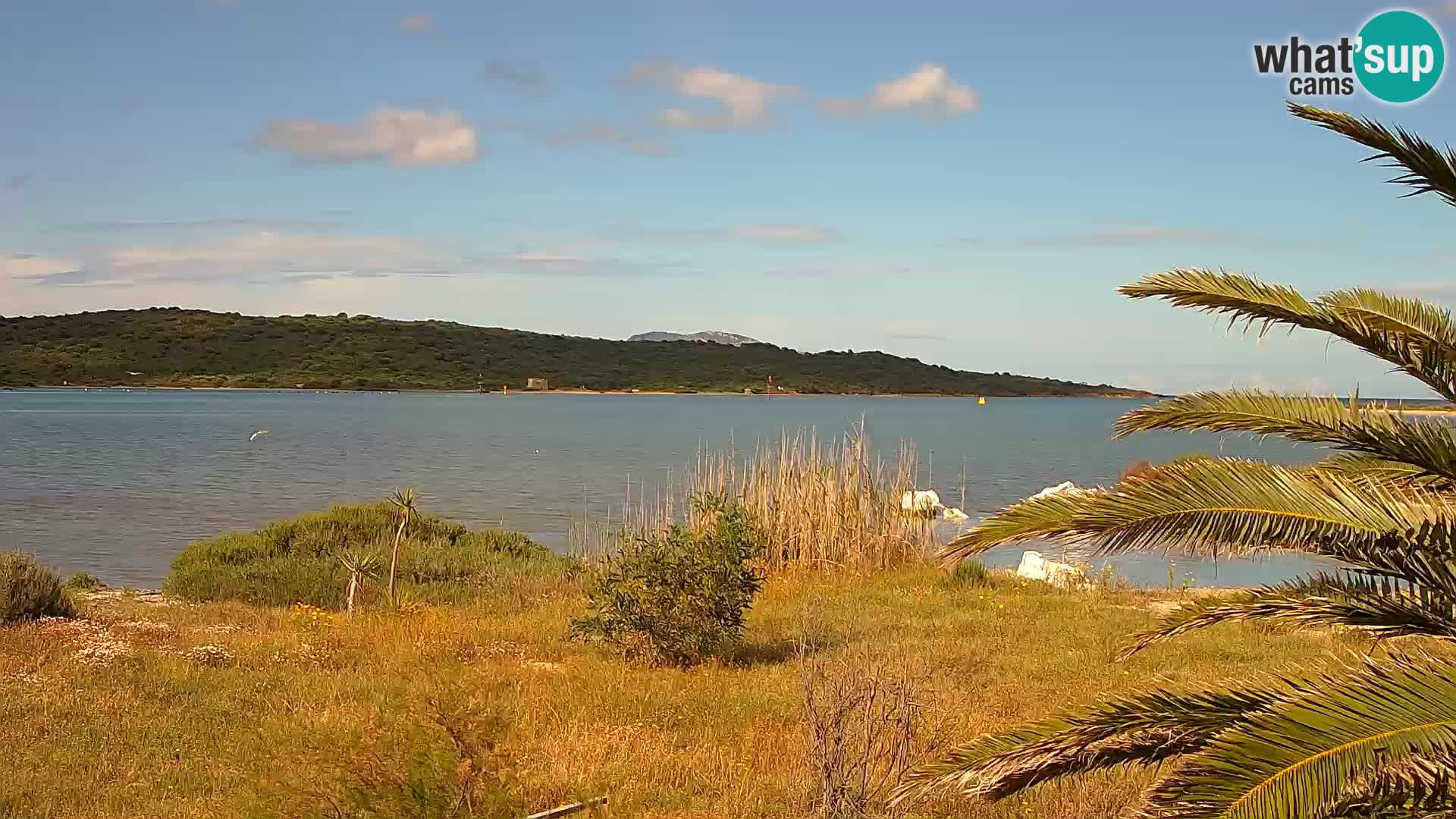 Web kamera Olbia luka – ulaz u luku Olbia
