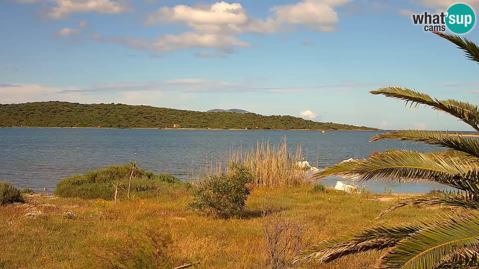 Webcam port d’Olbia – entrée du port d’Olbia