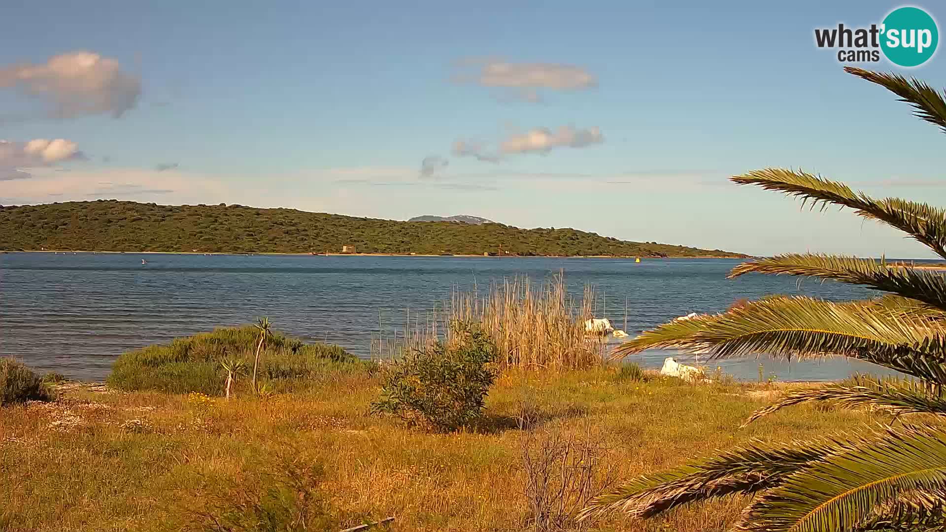 Webcam Olbia port – entrance to the port of Olbia