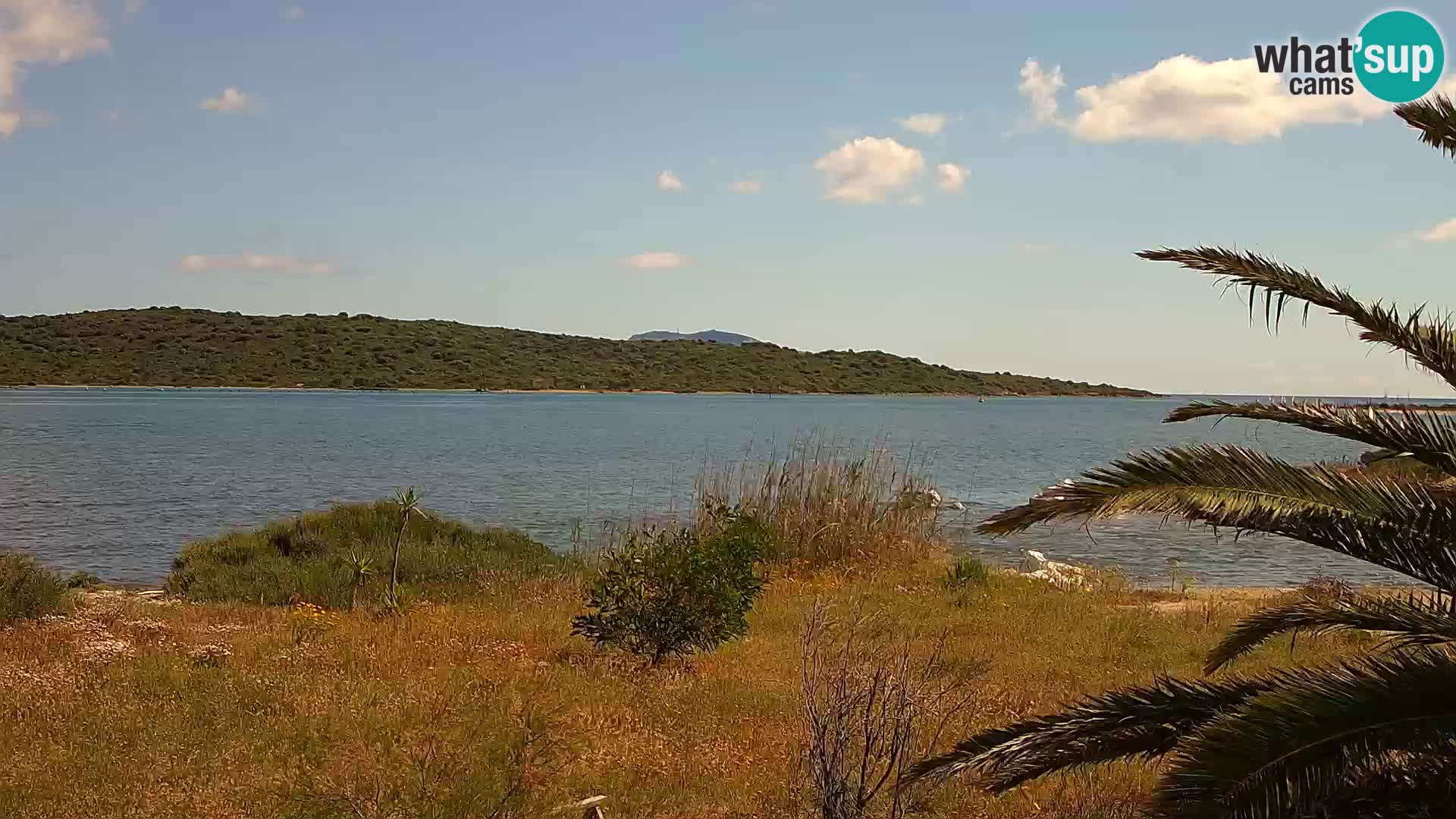 Web kamera Olbia luka – ulaz u luku Olbia