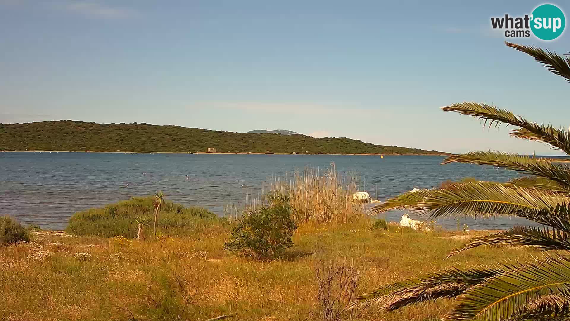 Webcam porto di Olbia – entrata nel porto di Olbia