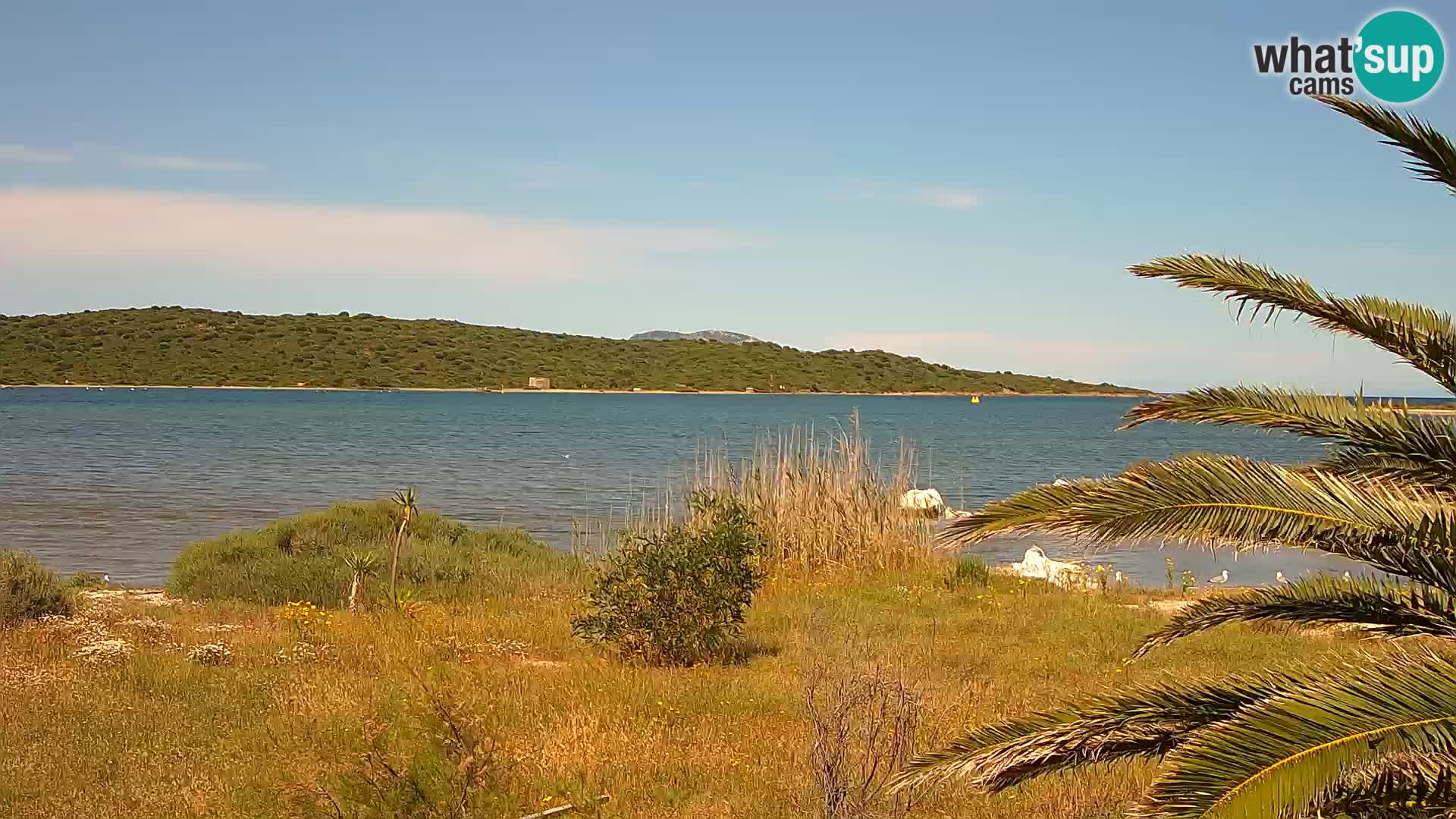 Webcam Olbia port – entrance to the port of Olbia
