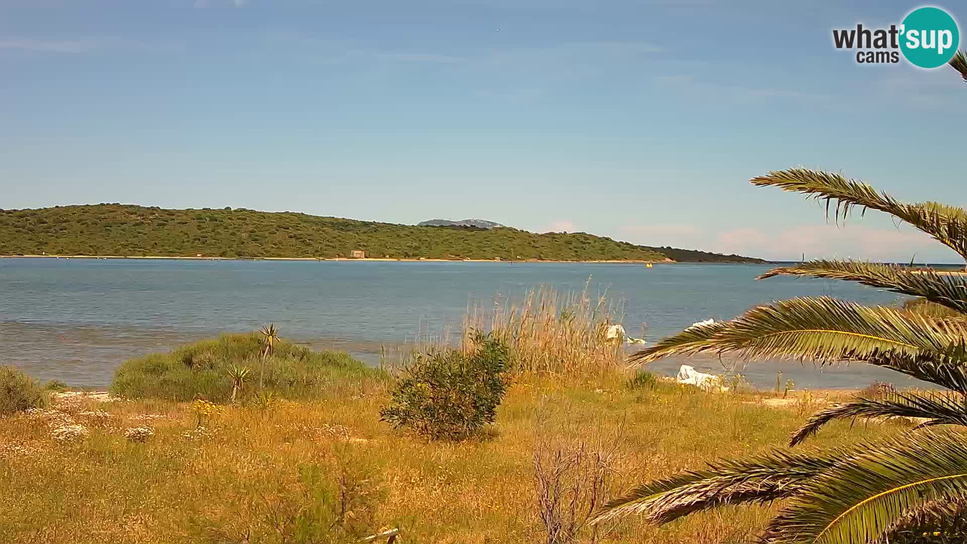 Web kamera Olbia luka – ulaz u luku Olbia