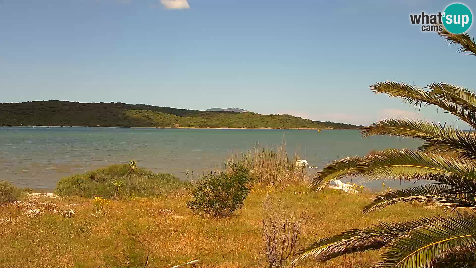 Webcam Olbia port – entrance to the port of Olbia