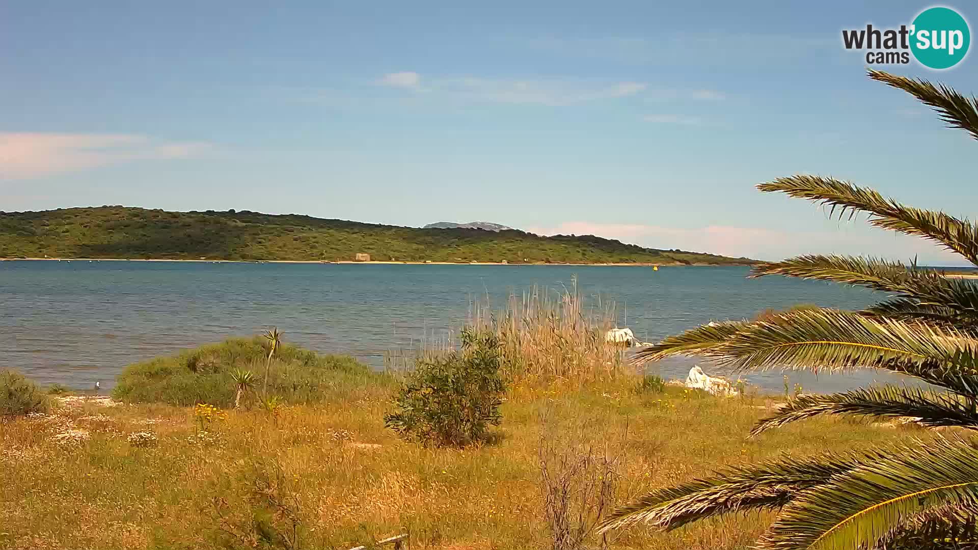 Spletna kamera pristanišče Olbia – vhod v pristanišče Olbia
