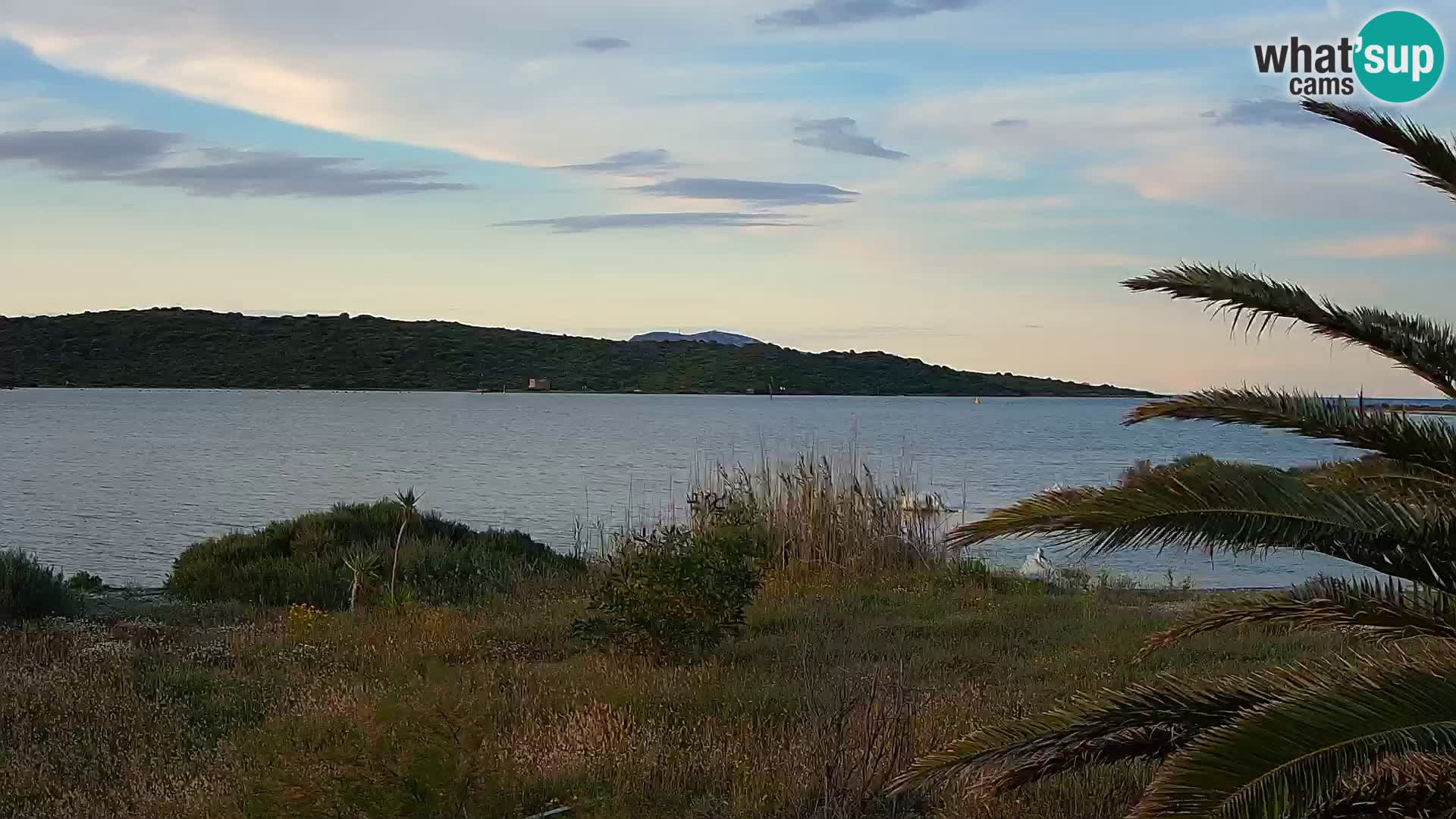 Webcam Hafen Olbia – Eingang zum Hafen von Olbia