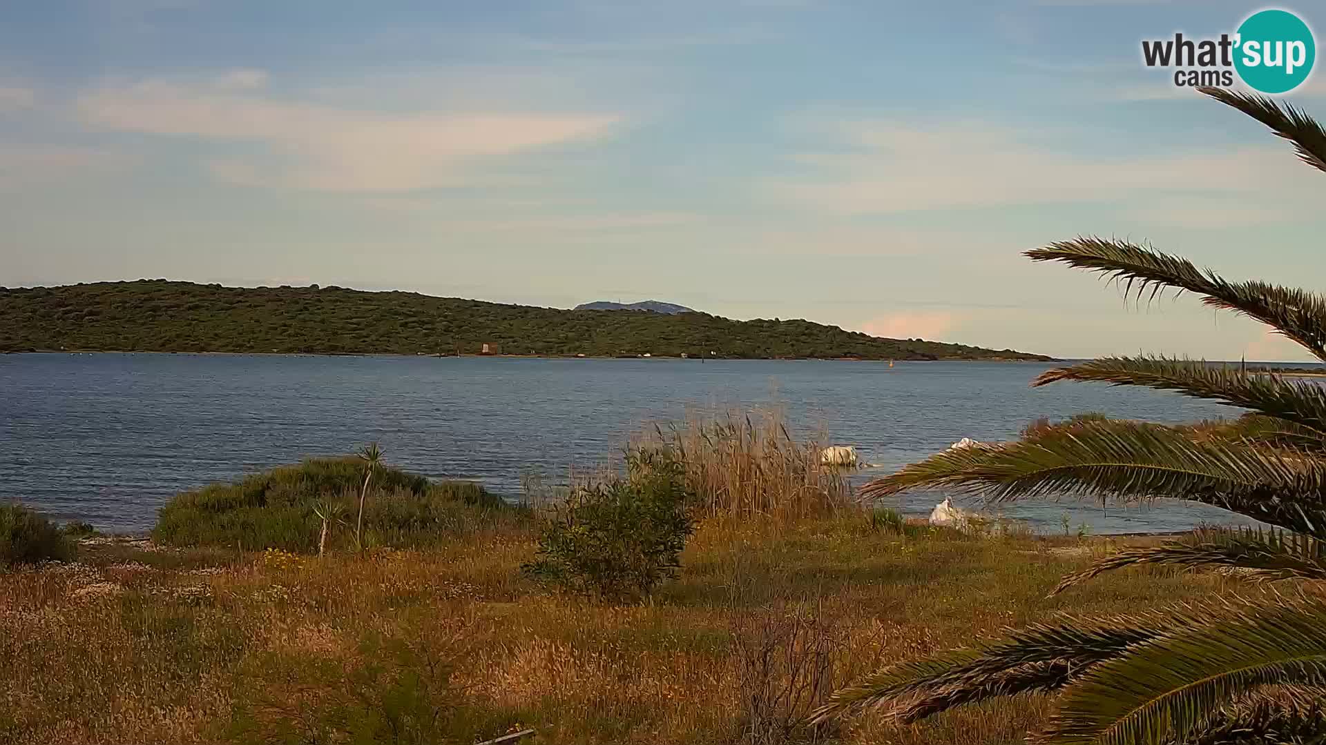 Webcam Olbia port – entrance to the port of Olbia