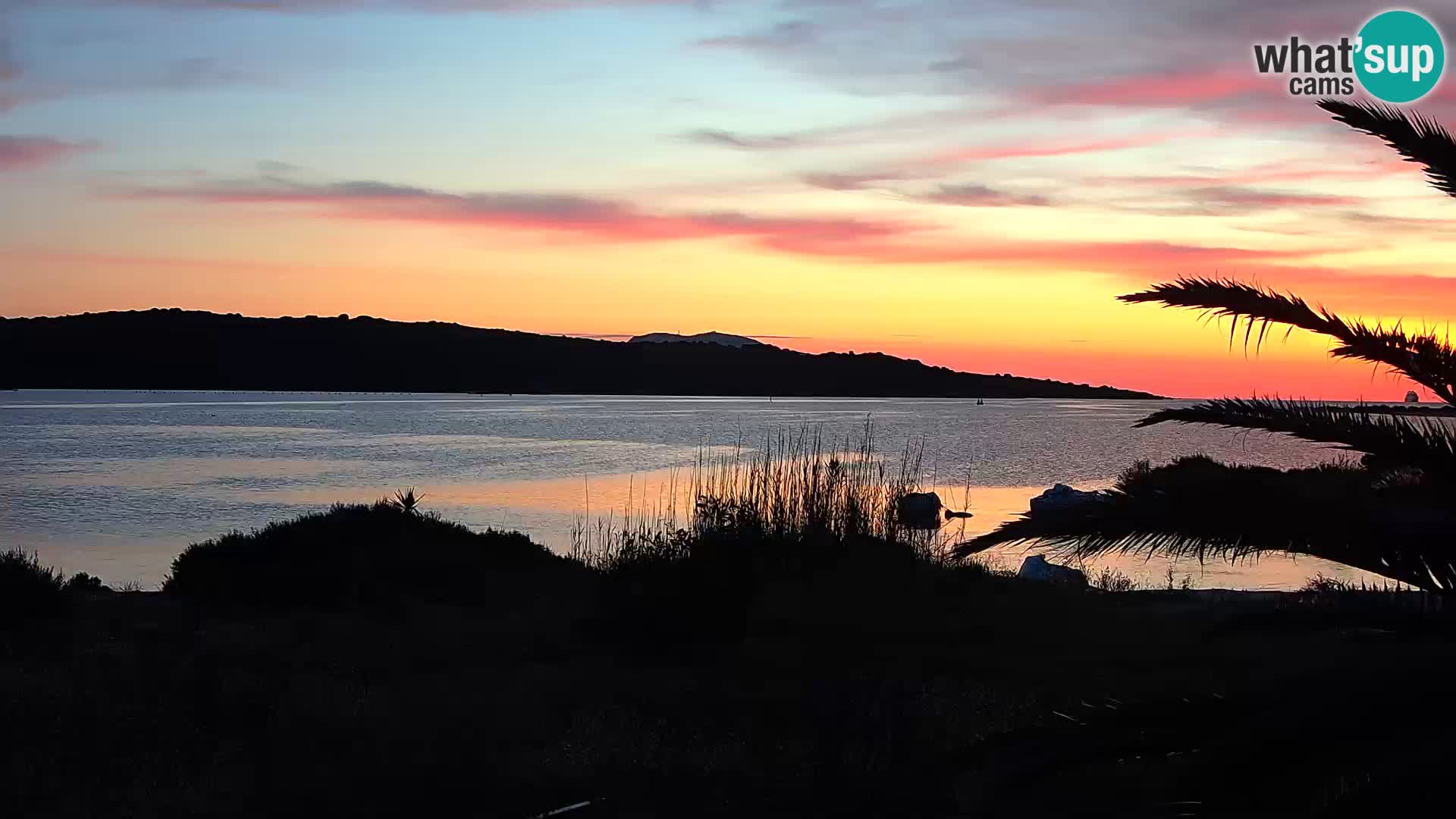 Web kamera Olbia luka – ulaz u luku Olbia