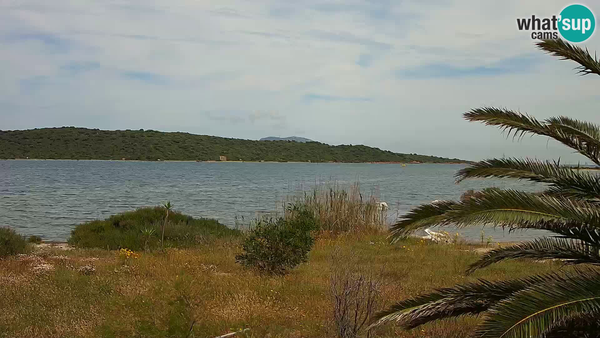 Spletna kamera pristanišče Olbia – vhod v pristanišče Olbia