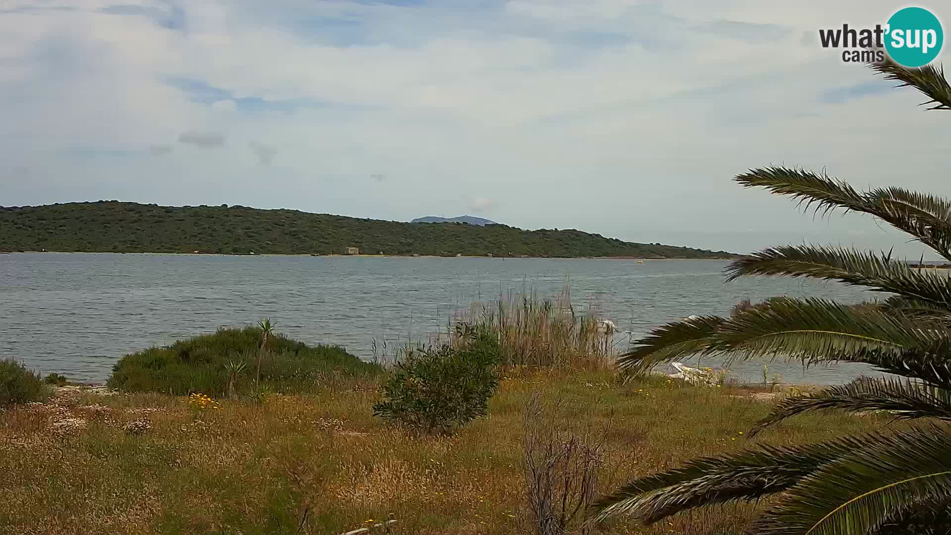 Web kamera Olbia luka – ulaz u luku Olbia