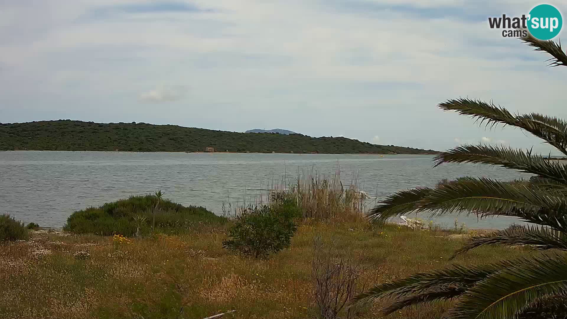 Webcam porto di Olbia – entrata nel porto di Olbia