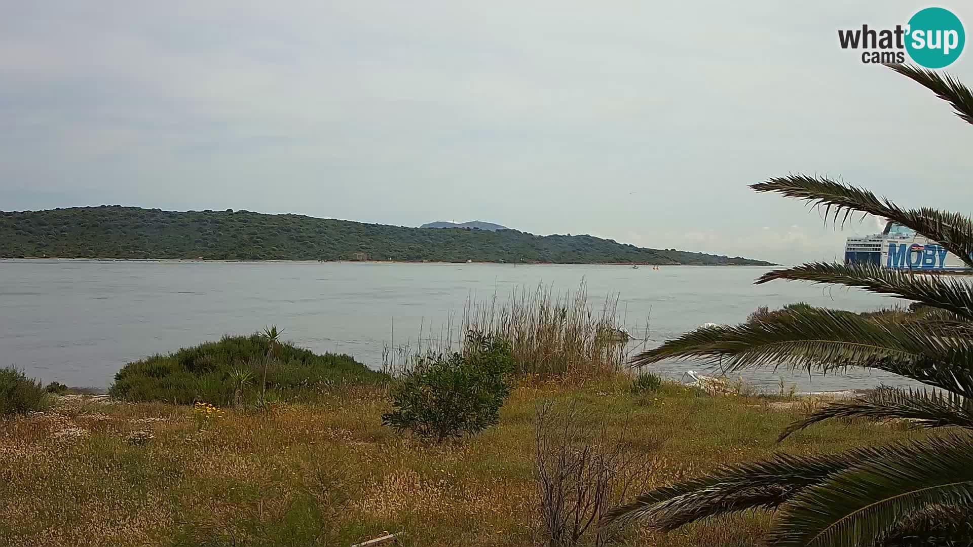 Webcam Hafen Olbia – Eingang zum Hafen von Olbia