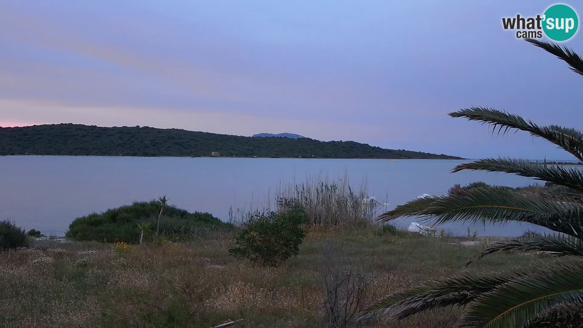 Webcam Hafen Olbia – Eingang zum Hafen von Olbia