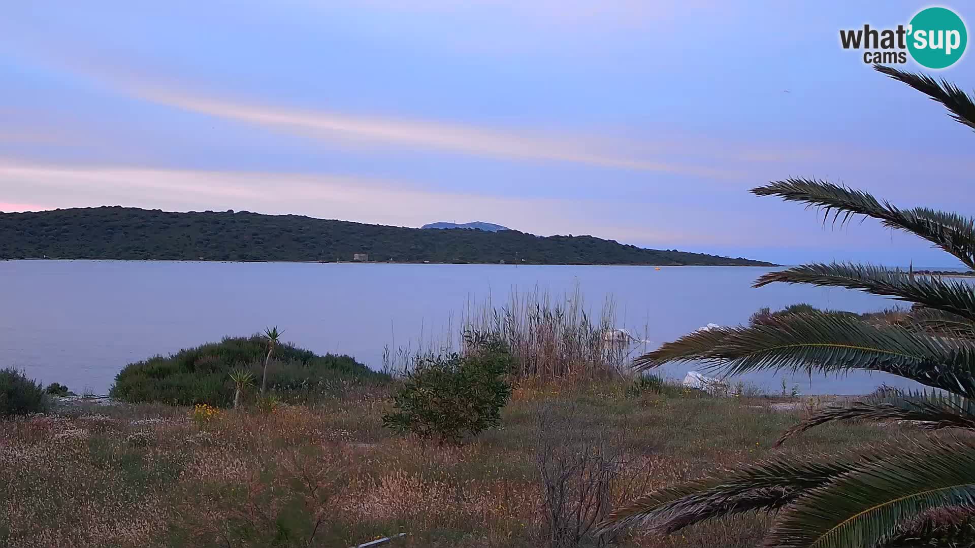Camera web puerto de Olbia – entrada al puerto de Olbia